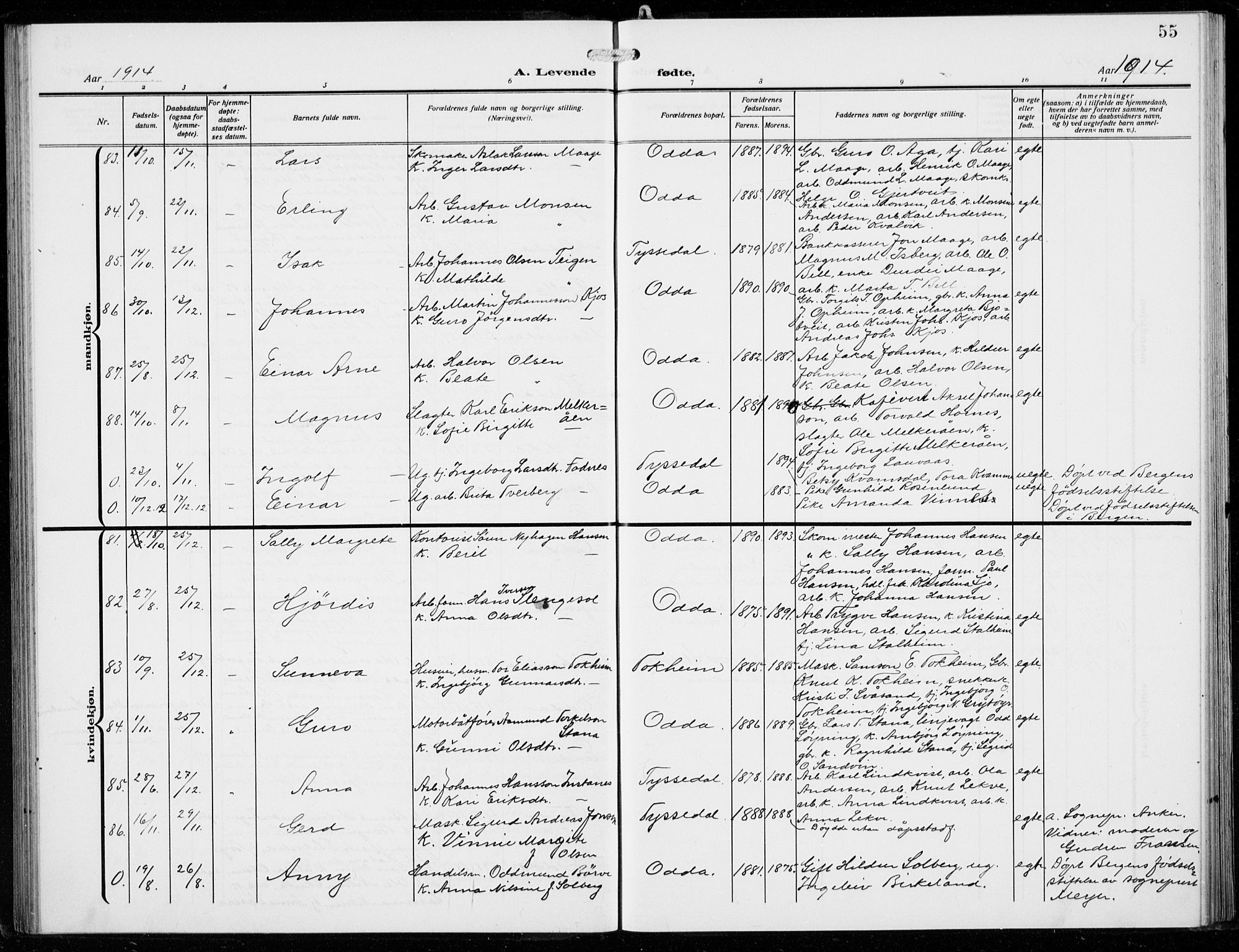 Odda Sokneprestembete, AV/SAB-A-77201/H/Hab: Parish register (copy) no. B  2, 1910-1923, p. 55