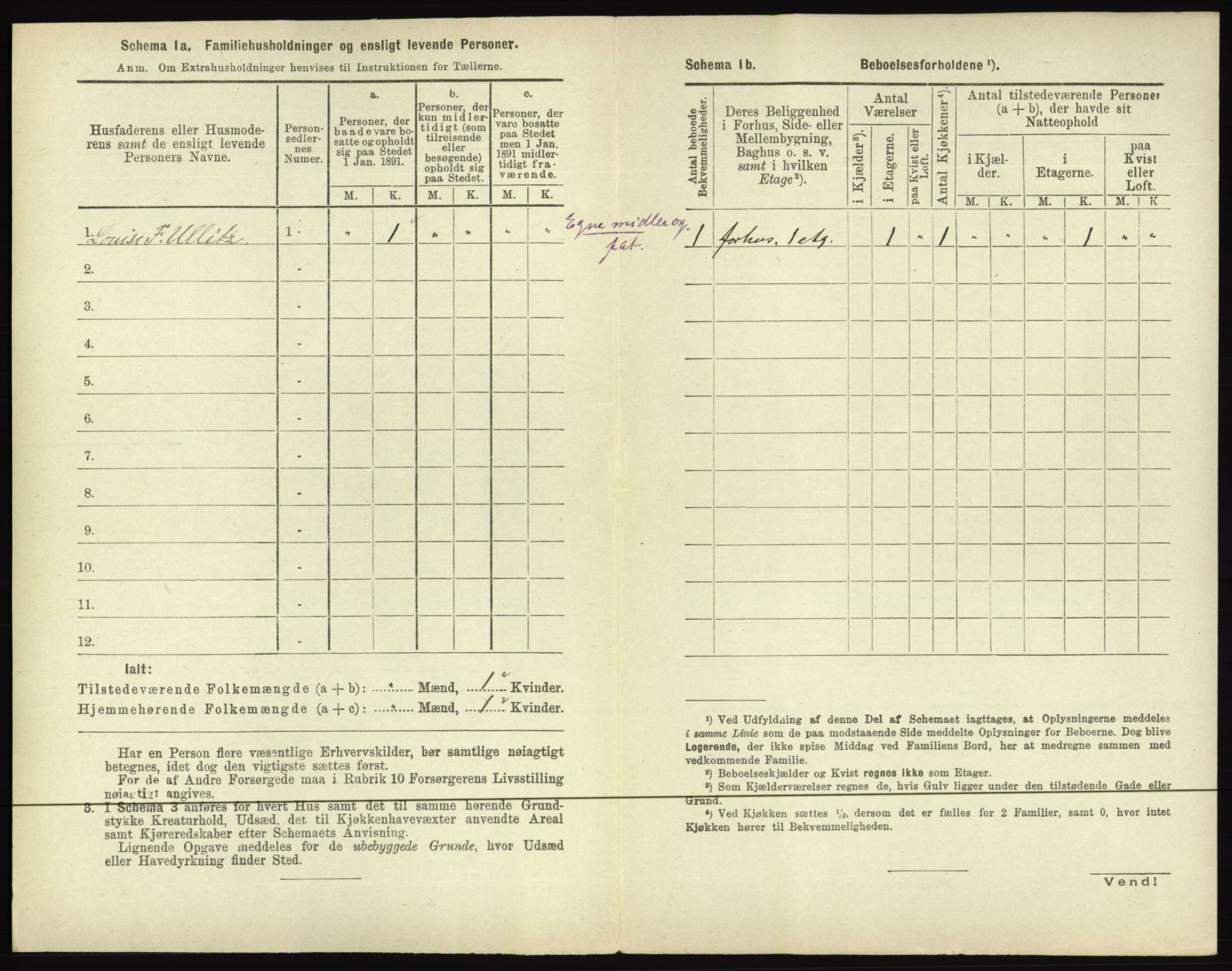 RA, 1891 census for 0602 Drammen, 1891, p. 376