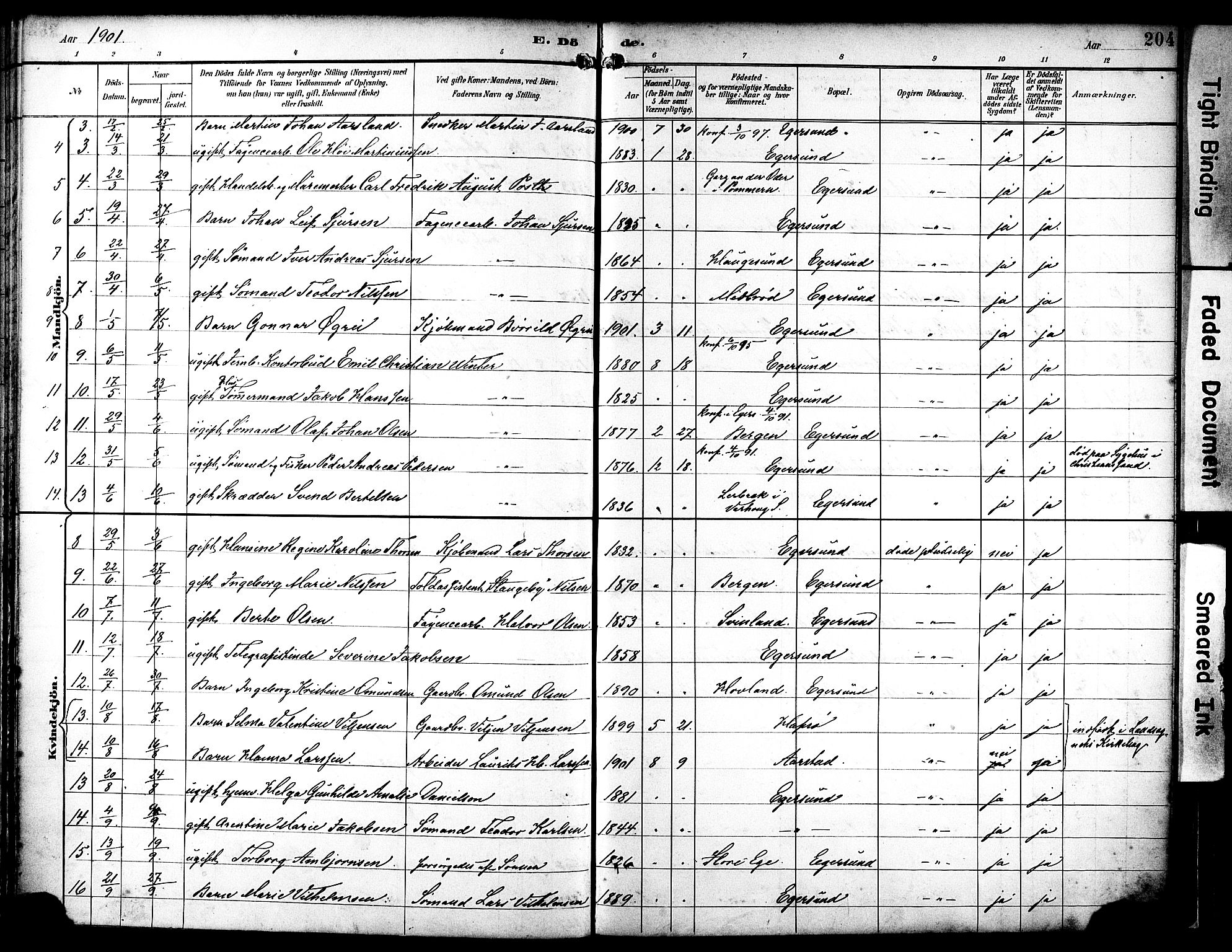 Eigersund sokneprestkontor, AV/SAST-A-101807/S08/L0019: Parish register (official) no. A 18, 1892-1905, p. 204