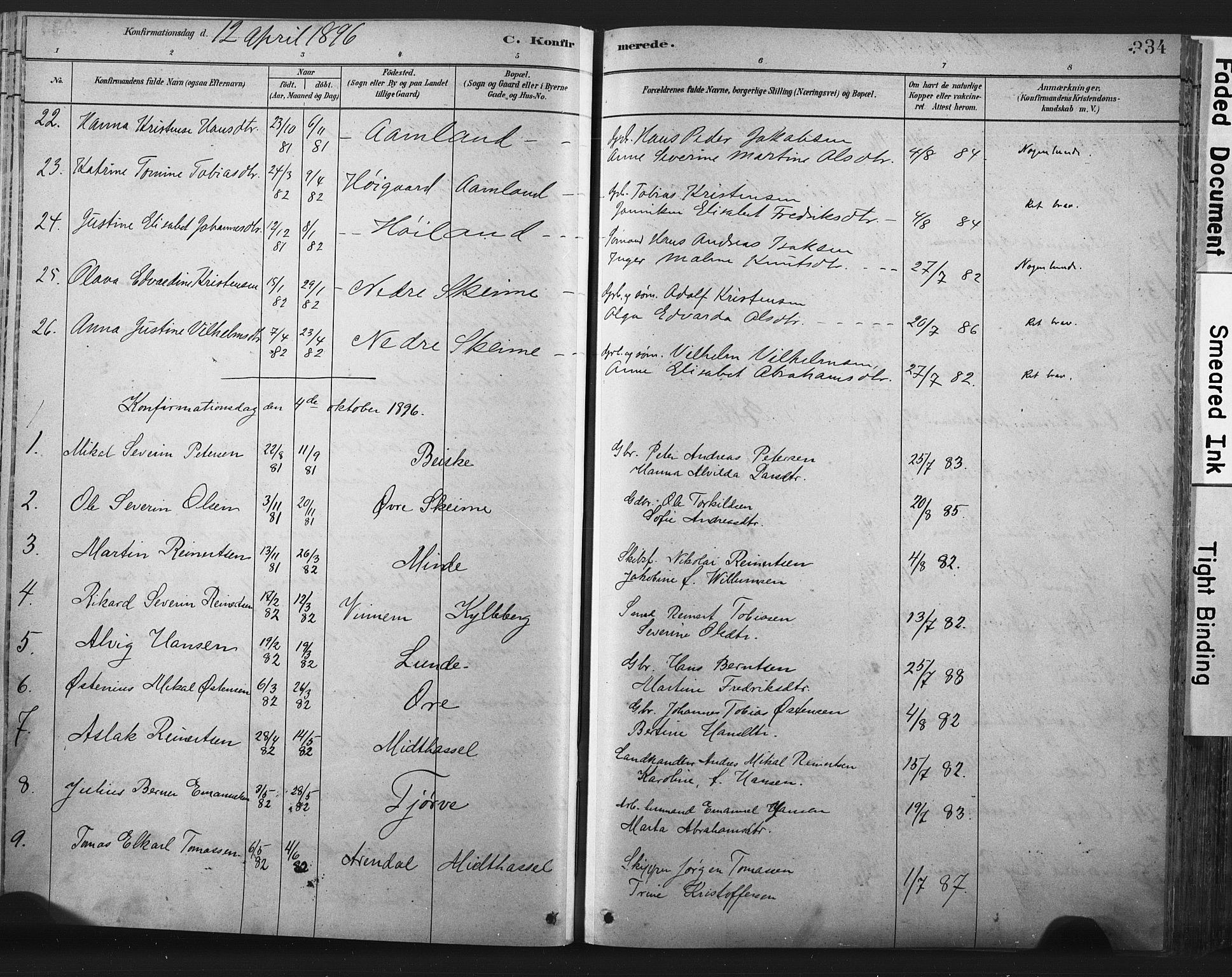 Lista sokneprestkontor, AV/SAK-1111-0027/F/Fa/L0012: Parish register (official) no. A 12, 1879-1903, p. 334