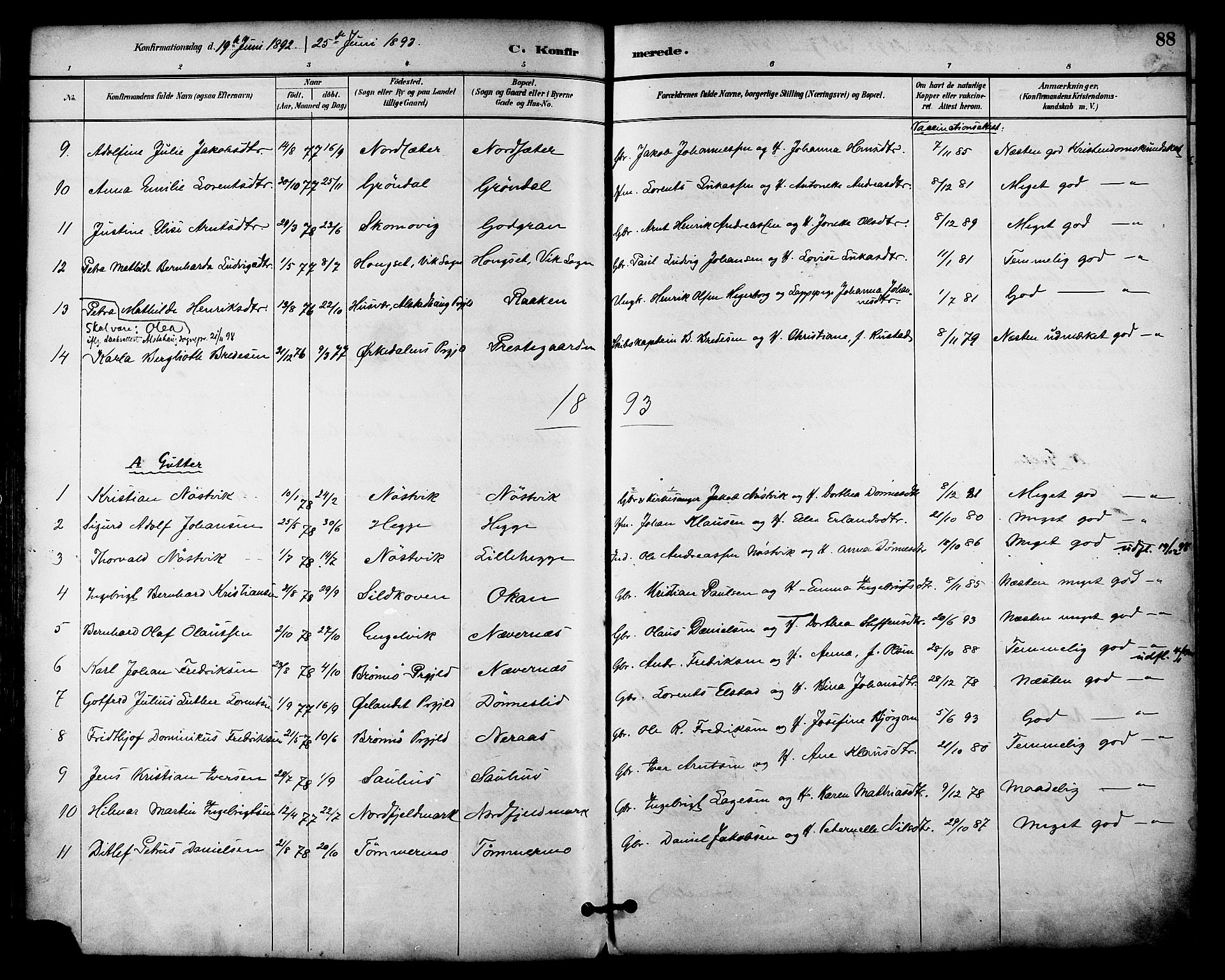 Ministerialprotokoller, klokkerbøker og fødselsregistre - Nordland, SAT/A-1459/814/L0226: Parish register (official) no. 814A07, 1886-1898, p. 88