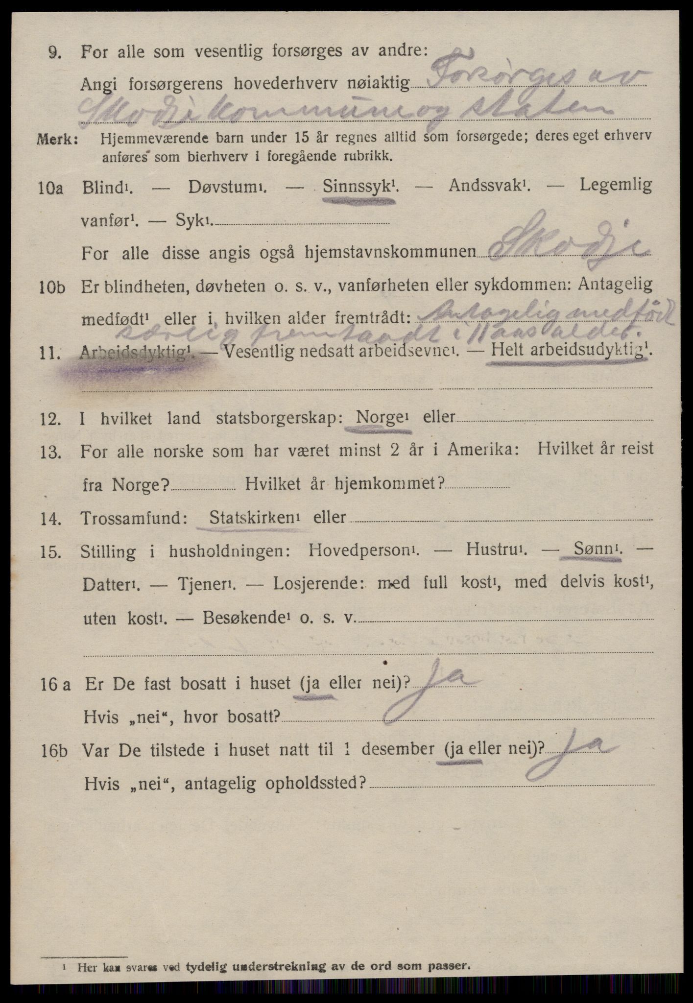 SAT, 1920 census for Skodje, 1920, p. 1100