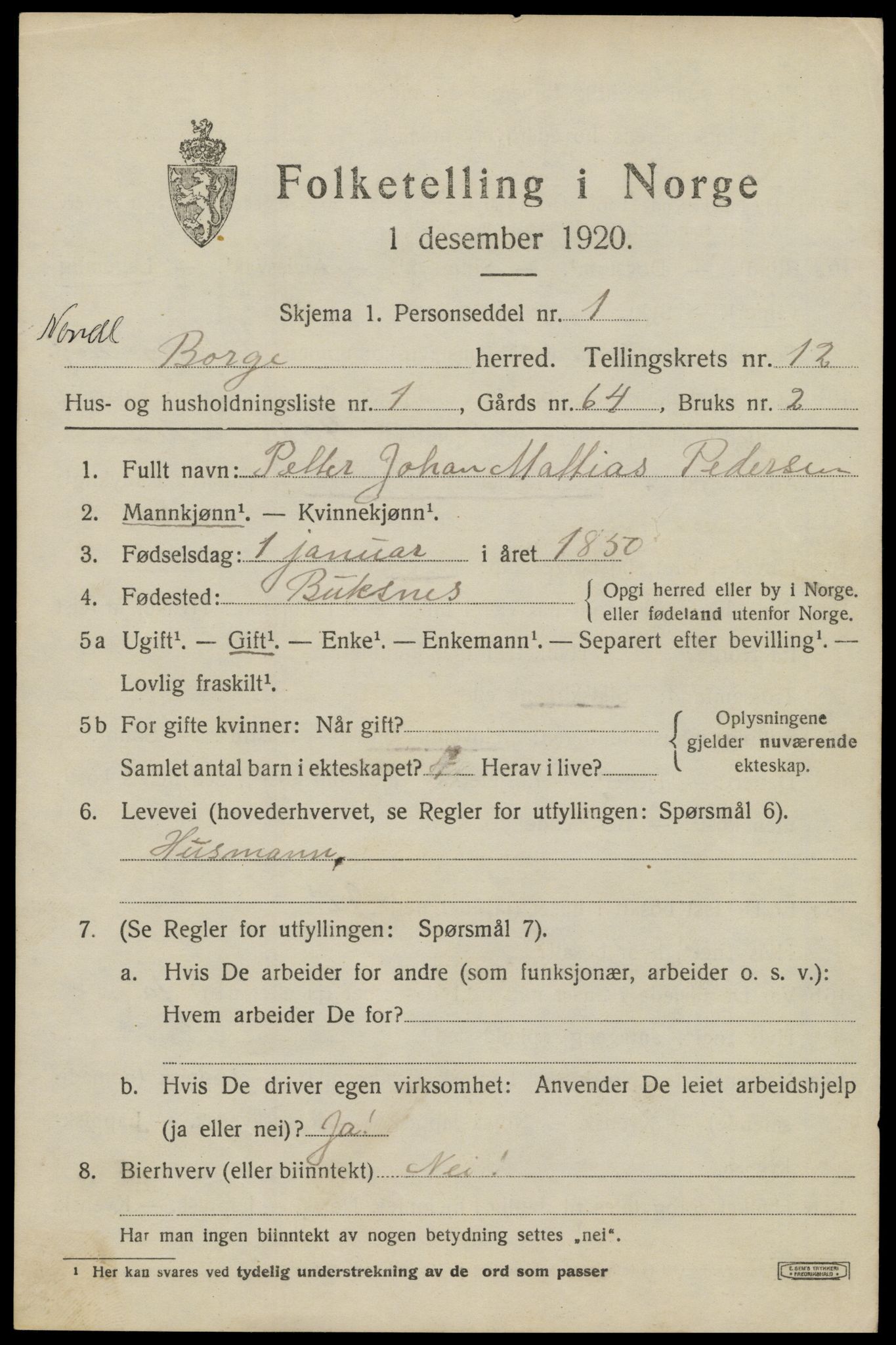 SAT, 1920 census for Borge, 1920, p. 9811