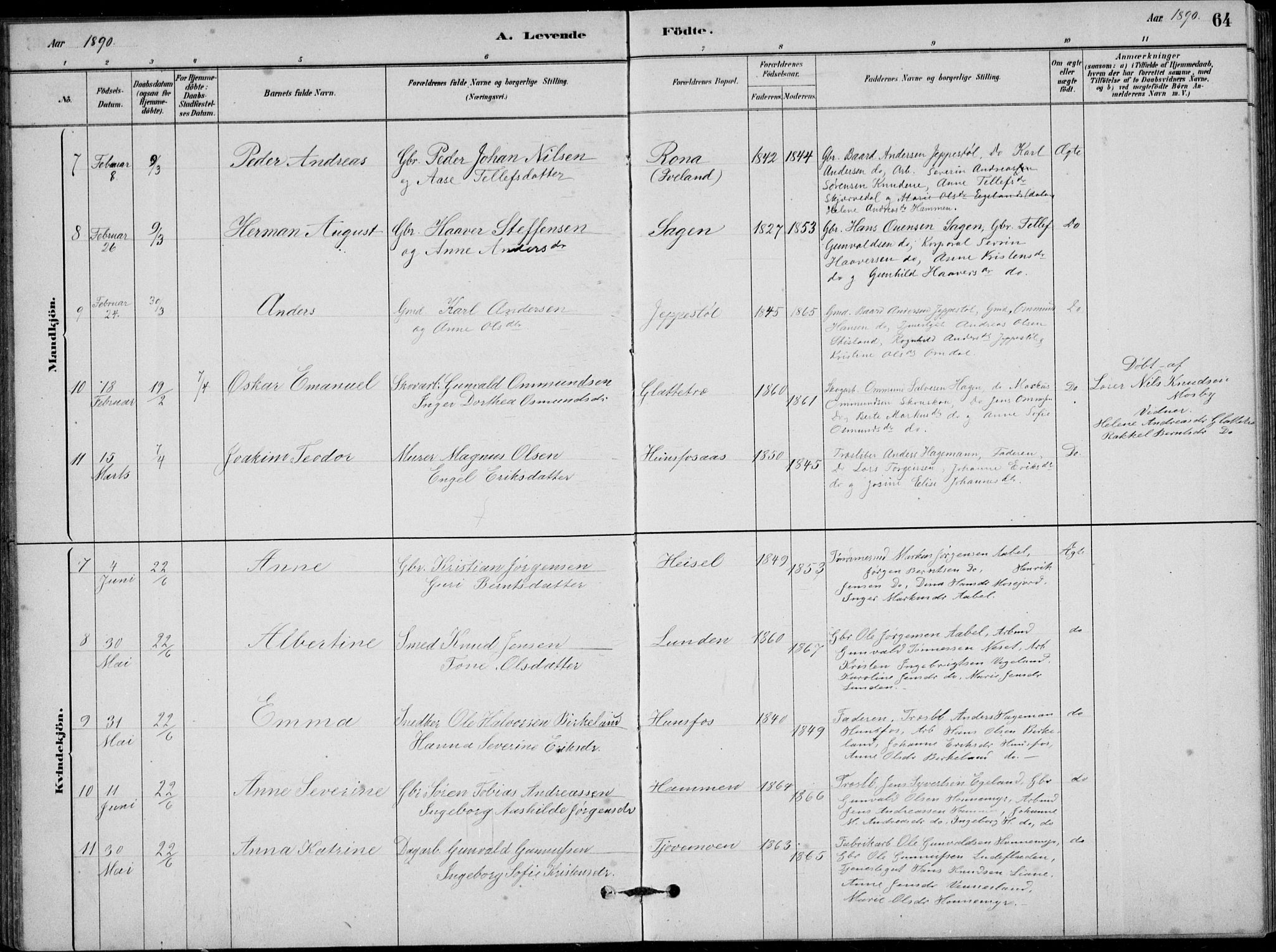 Vennesla sokneprestkontor, AV/SAK-1111-0045/Fb/Fbb/L0003: Parish register (copy) no. B 3, 1879-1893, p. 64