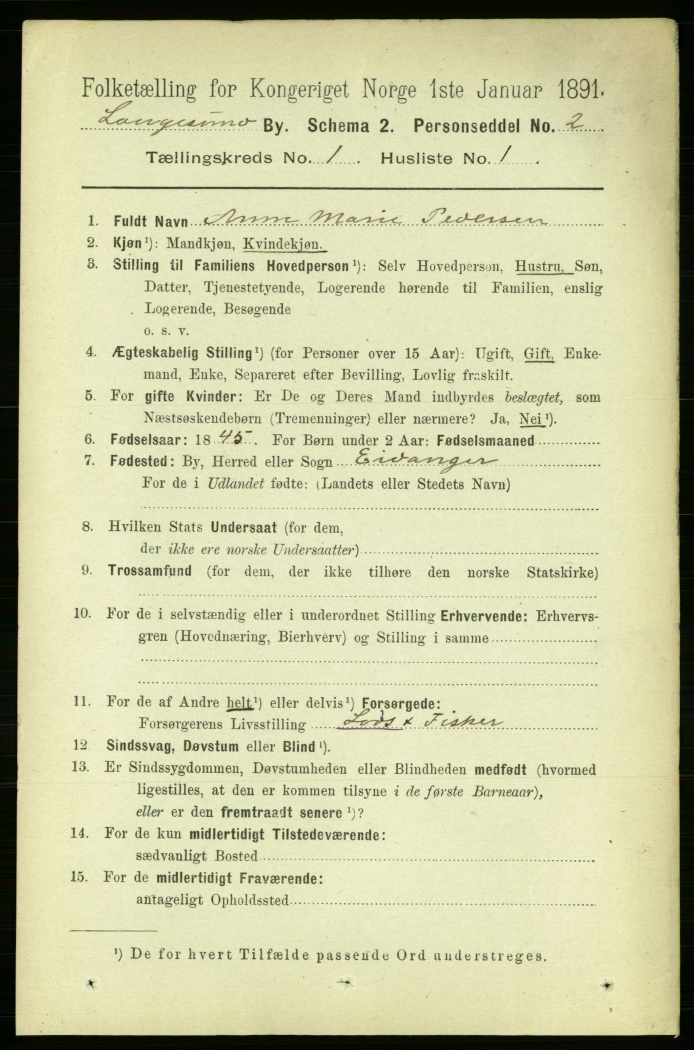 RA, 1891 census for 0802 Langesund, 1891, p. 504