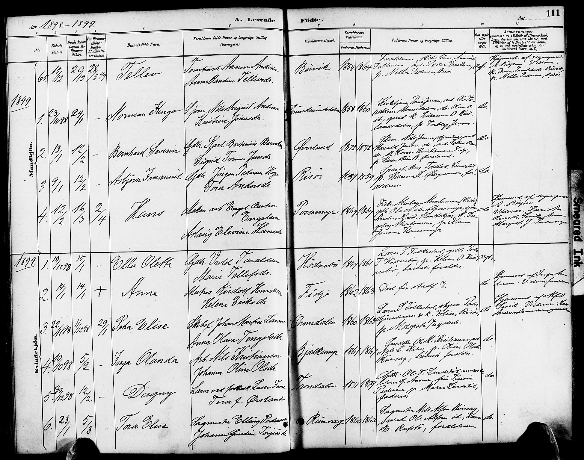 Søndeled sokneprestkontor, SAK/1111-0038/F/Fa/L0005: Parish register (official) no. A 5, 1889-1899, p. 111