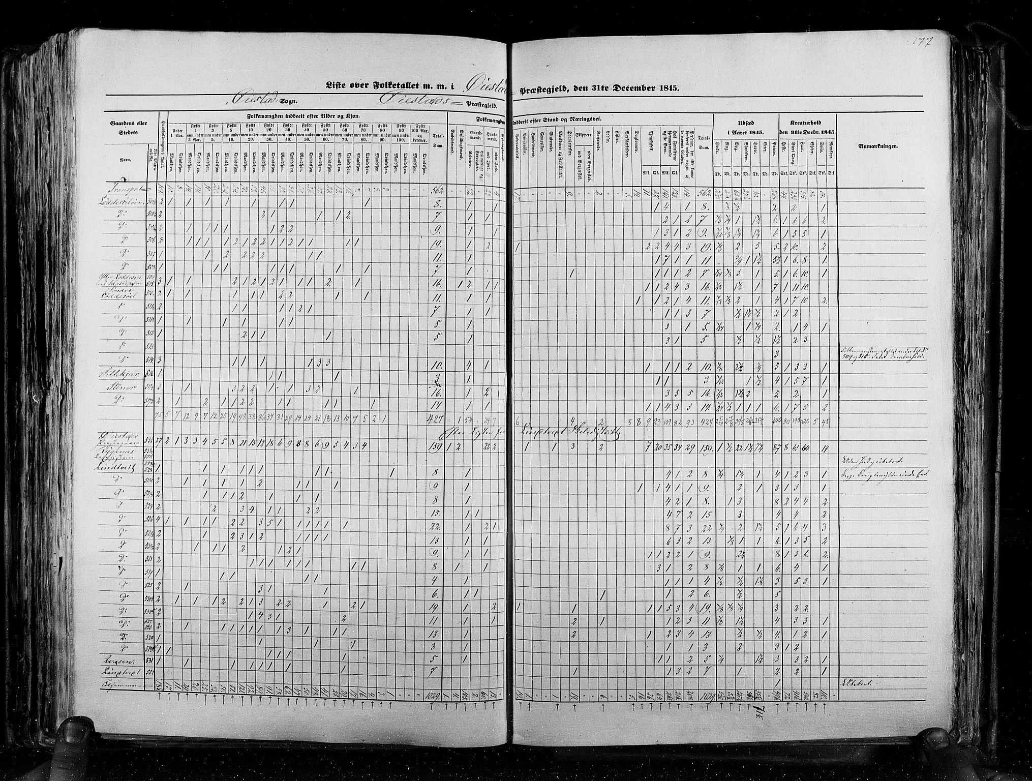 RA, Census 1845, vol. 5: Bratsberg amt og Nedenes og Råbyggelaget amt, 1845, p. 277