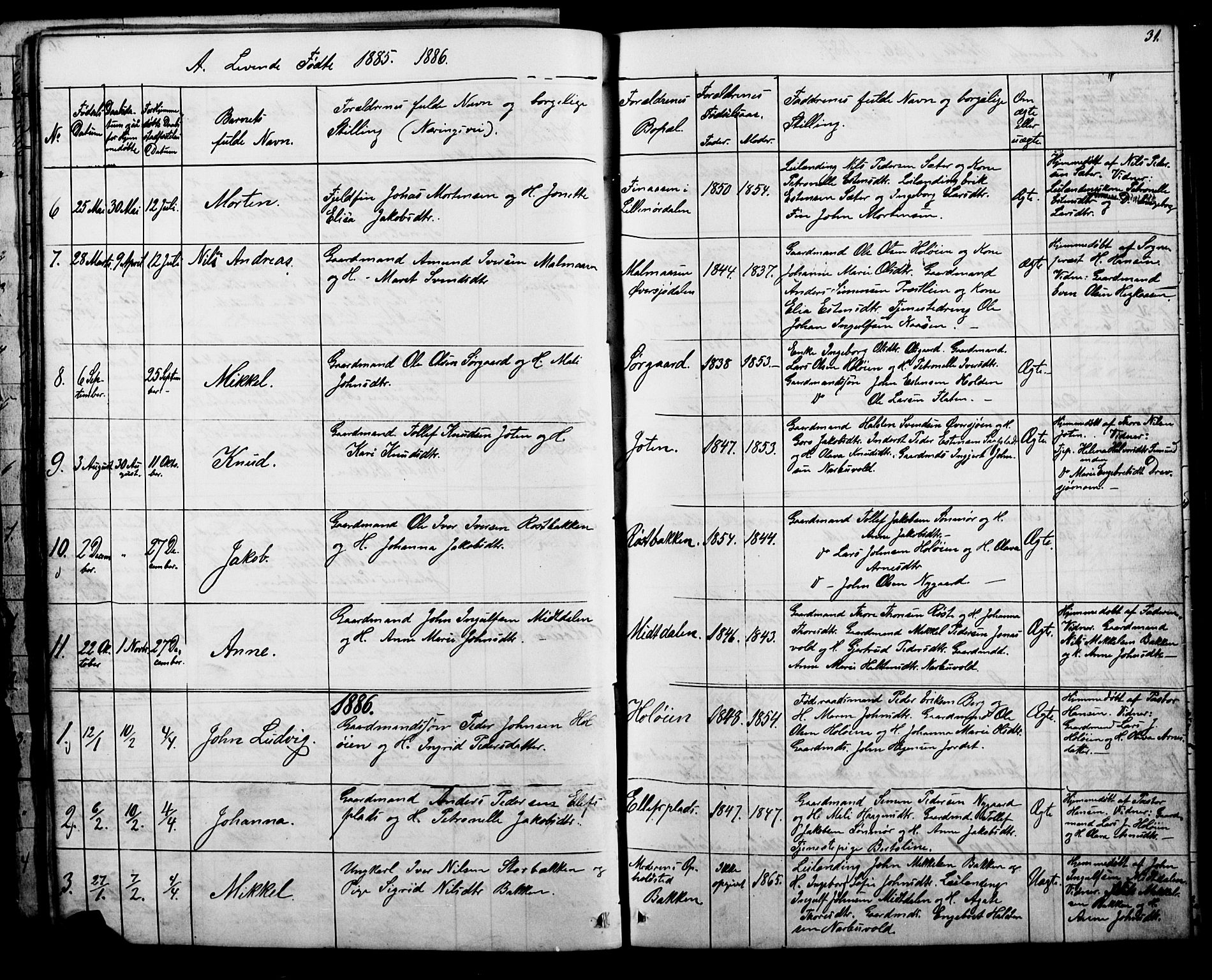 Tolga prestekontor, AV/SAH-PREST-062/L/L0006: Parish register (copy) no. 6, 1864-1894, p. 31