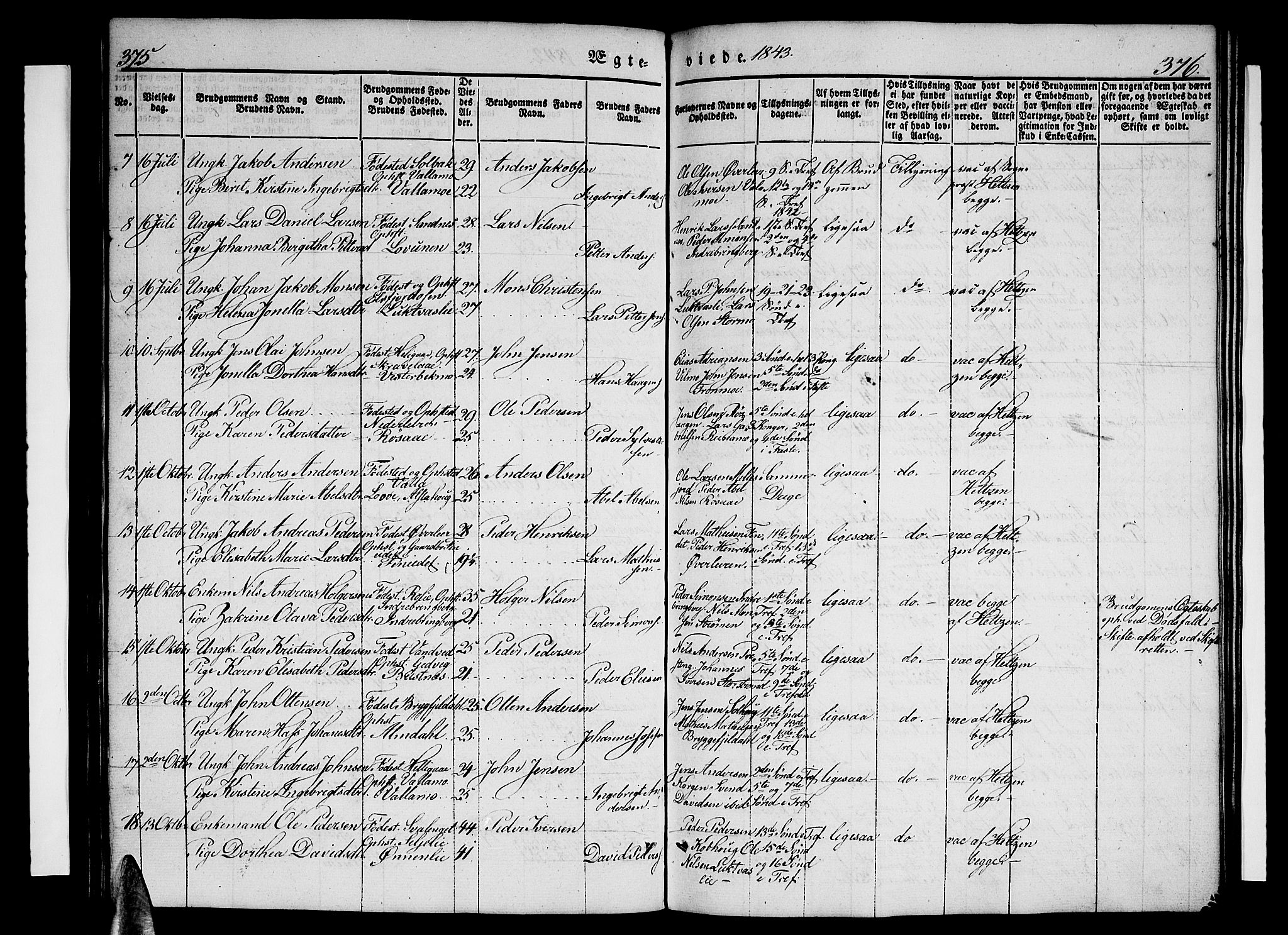 Ministerialprotokoller, klokkerbøker og fødselsregistre - Nordland, AV/SAT-A-1459/825/L0364: Parish register (copy) no. 825C01, 1841-1863, p. 375-376