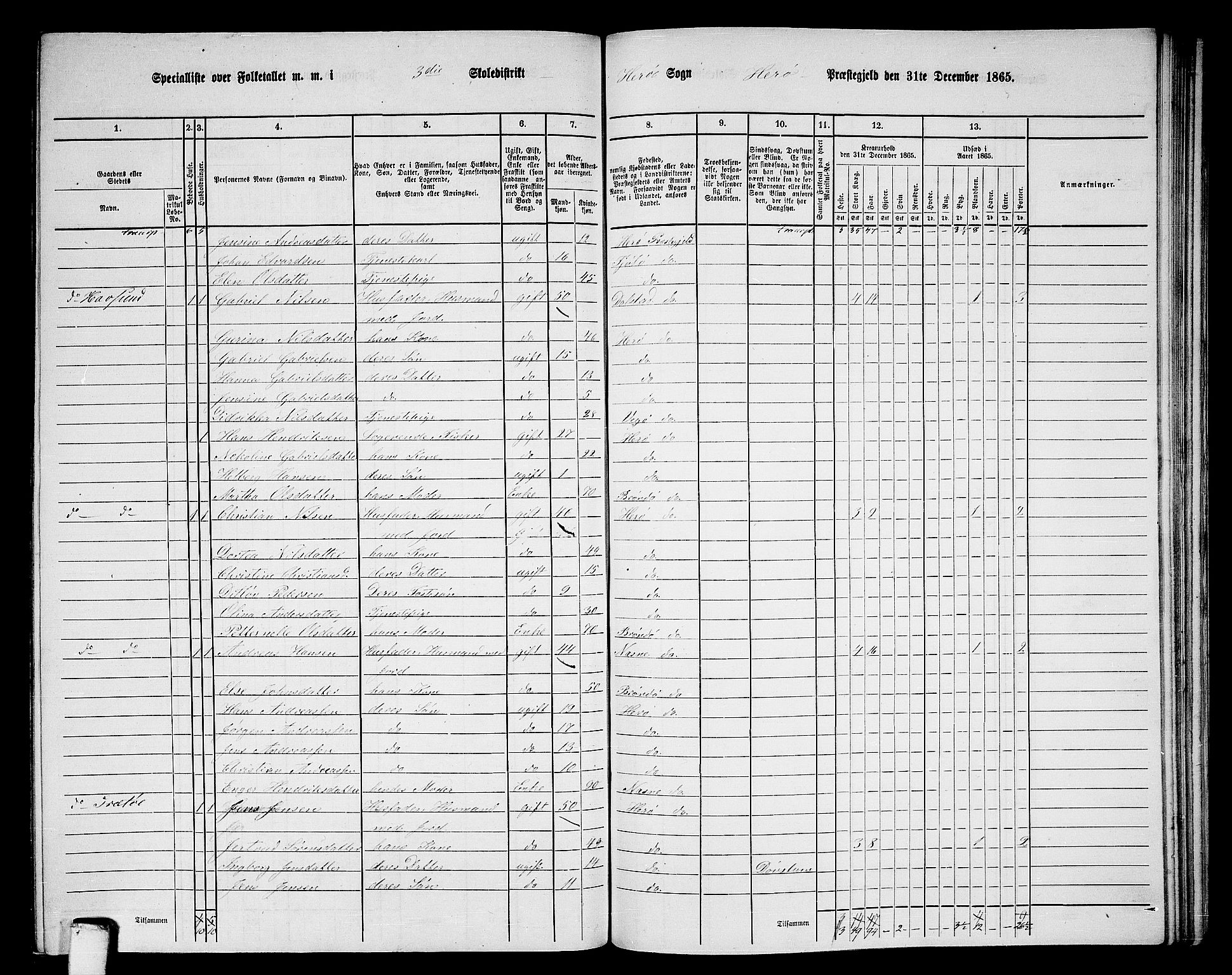 RA, 1865 census for Herøy, 1865, p. 51