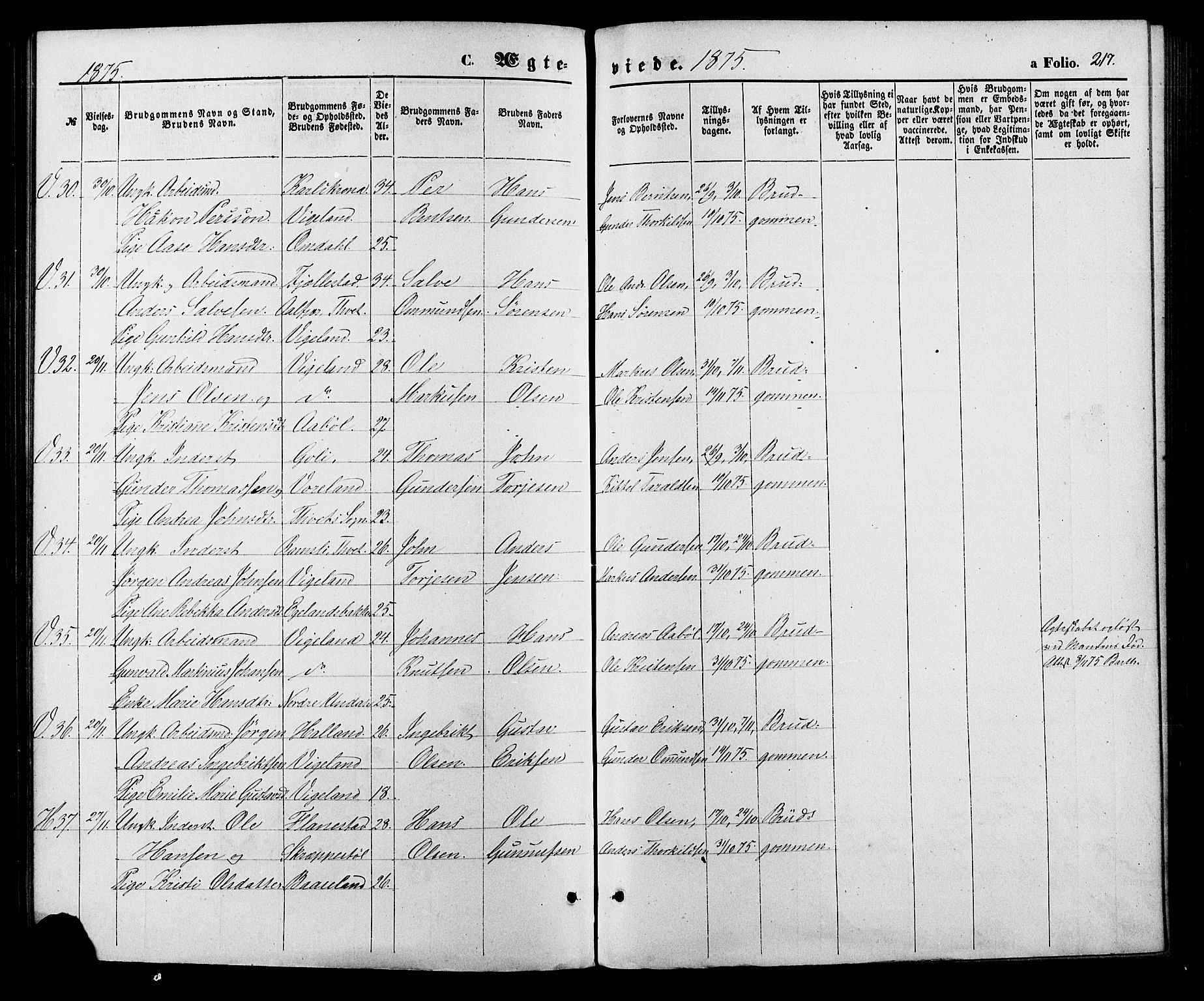 Vennesla sokneprestkontor, AV/SAK-1111-0045/Fa/Fac/L0008: Parish register (official) no. A 8, 1874-1883, p. 217