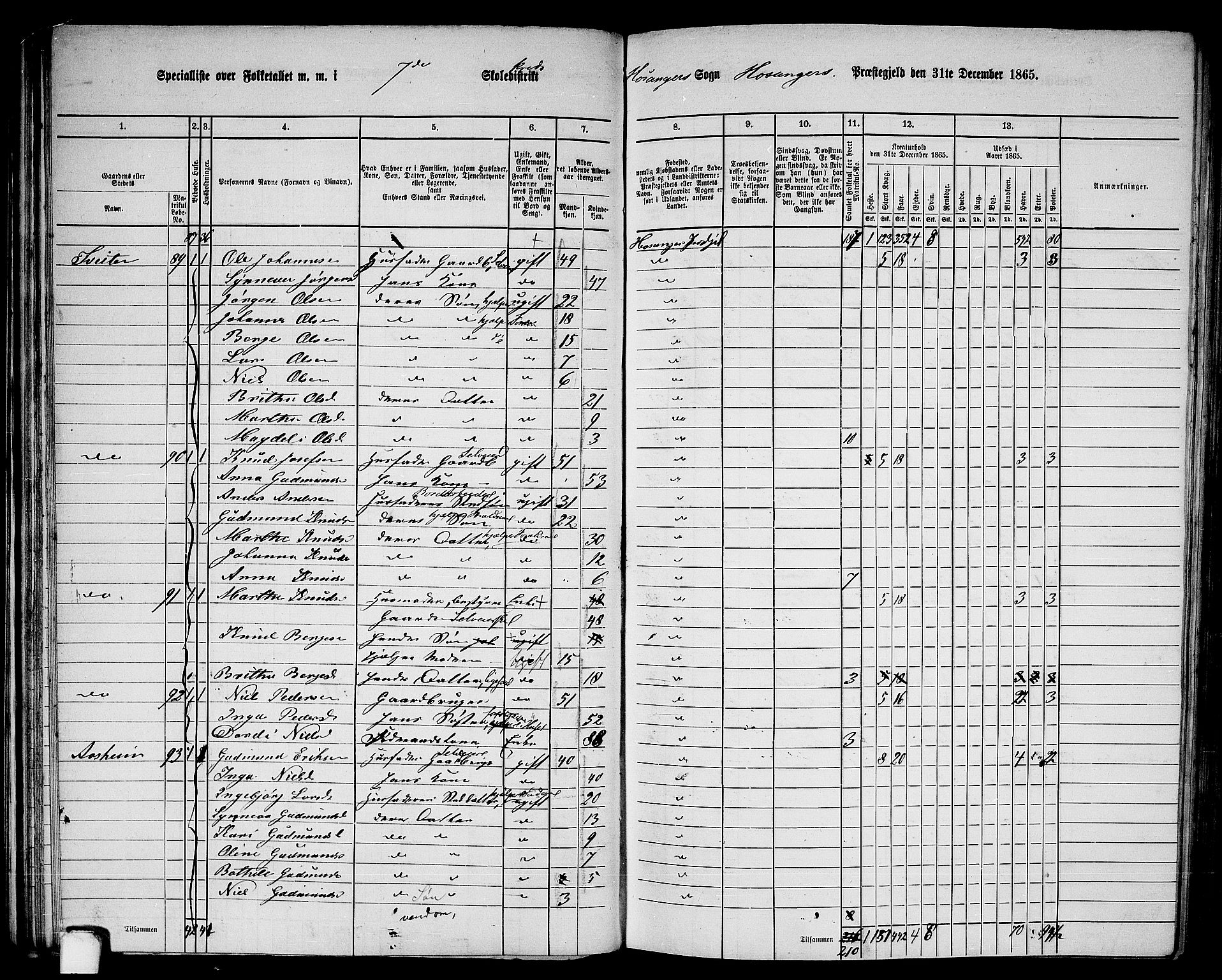 RA, 1865 census for Hosanger, 1865, p. 57