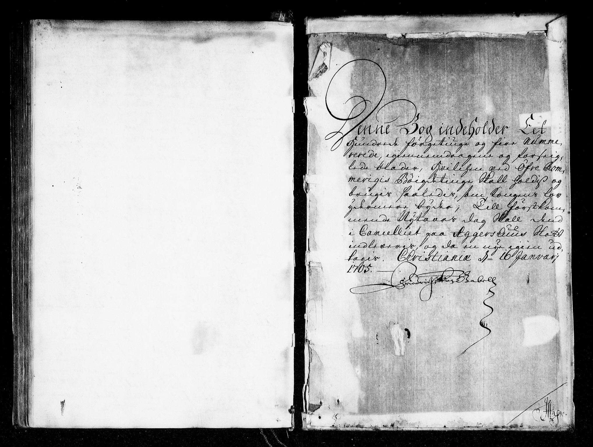 Øvre Romerike sorenskriveri, SAO/A-10649/F/Fb/L0043: Tingbok 43, 1705