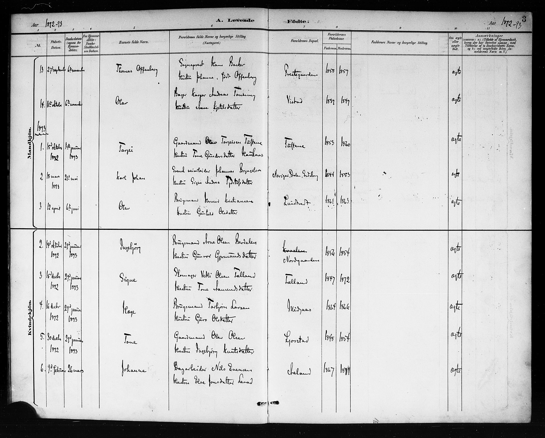 Mo kirkebøker, SAKO/A-286/G/Ga/L0002: Parish register (copy) no. I 2, 1892-1914, p. 3