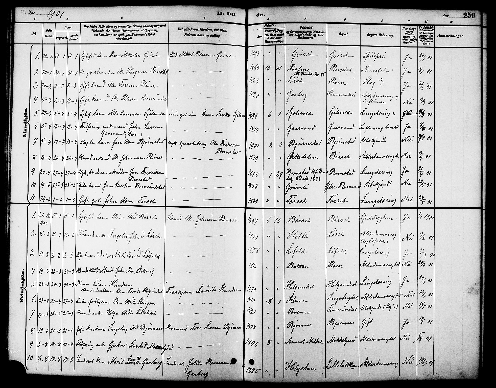 Ministerialprotokoller, klokkerbøker og fødselsregistre - Møre og Romsdal, SAT/A-1454/598/L1078: Parish register (copy) no. 598C03, 1892-1909, p. 259