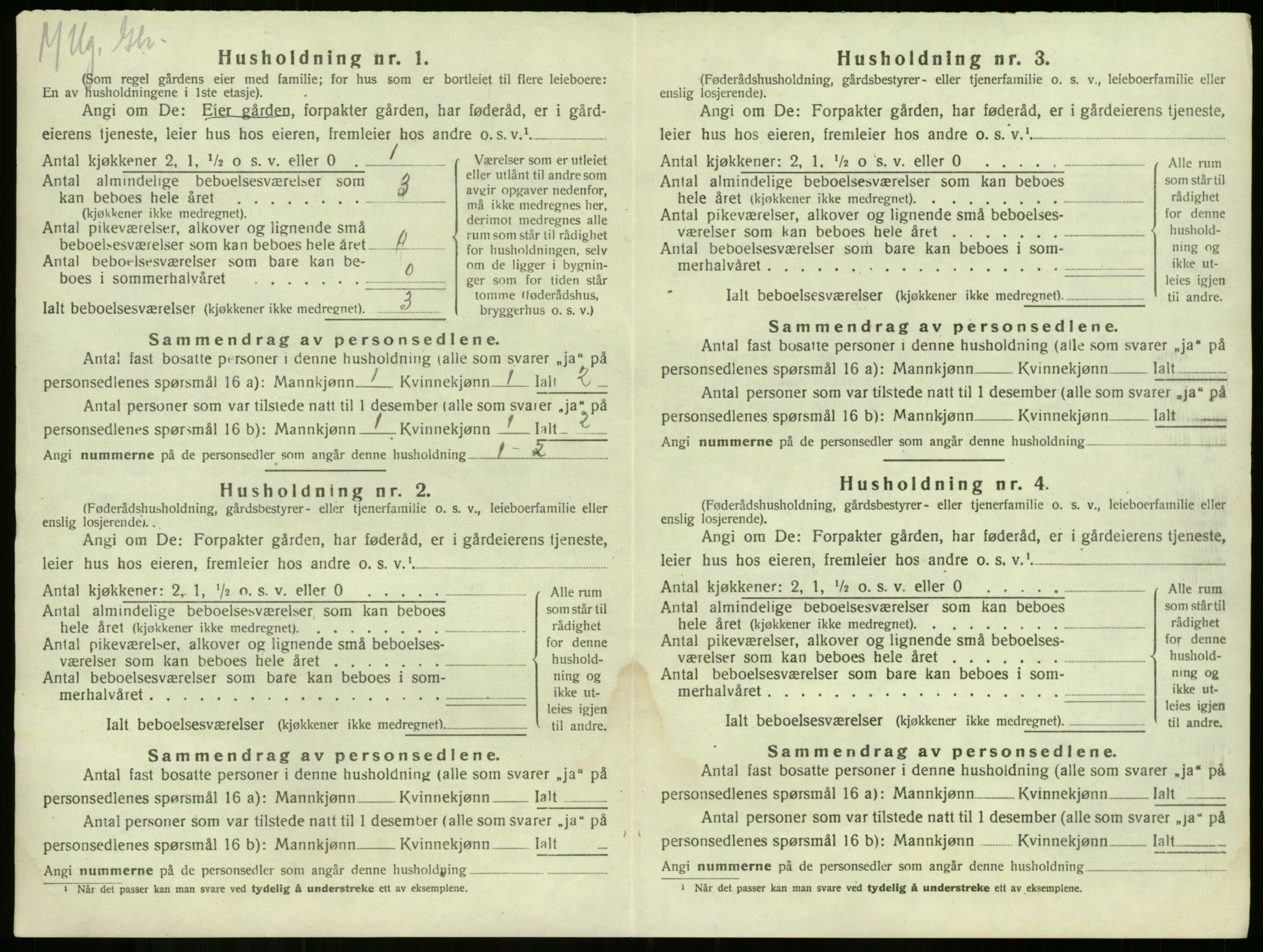SAKO, 1920 census for Våle, 1920, p. 1009
