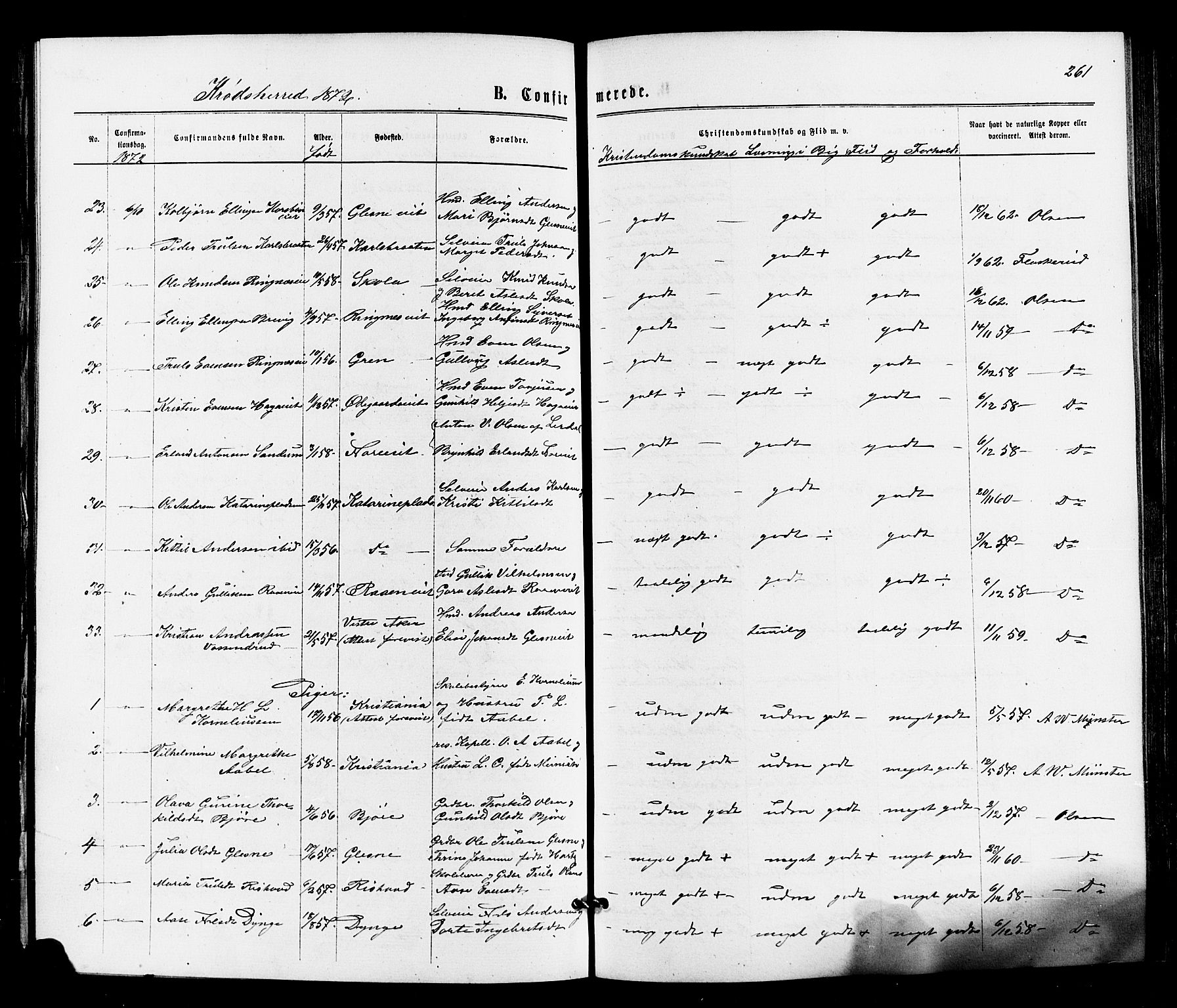 Sigdal kirkebøker, AV/SAKO-A-245/F/Fa/L0010: Parish register (official) no. I 10 /2, 1872-1878, p. 261