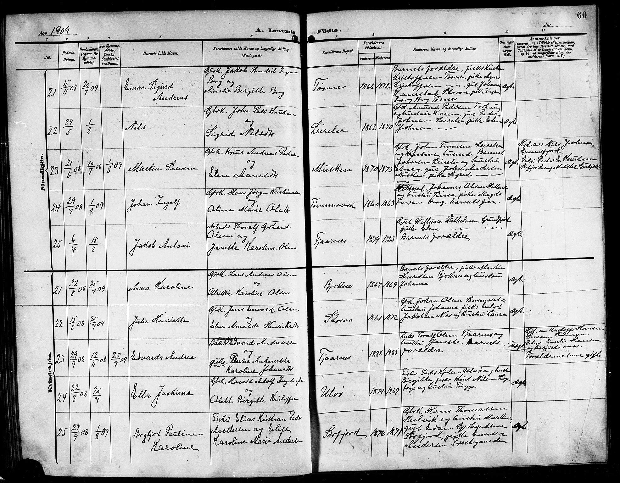 Ministerialprotokoller, klokkerbøker og fødselsregistre - Nordland, AV/SAT-A-1459/861/L0877: Parish register (copy) no. 861C03, 1903-1919, p. 60