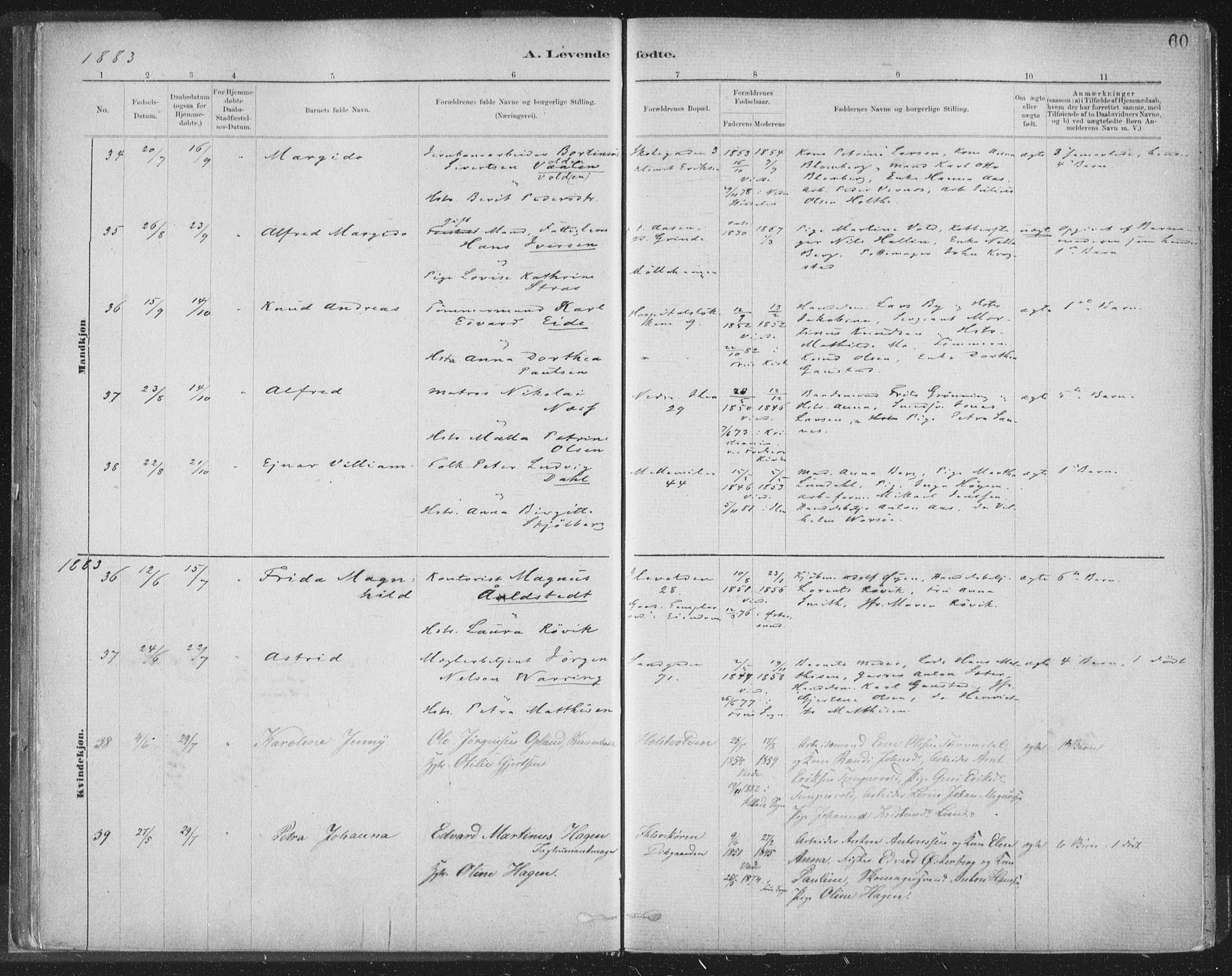 Ministerialprotokoller, klokkerbøker og fødselsregistre - Sør-Trøndelag, AV/SAT-A-1456/603/L0162: Parish register (official) no. 603A01, 1879-1895, p. 60