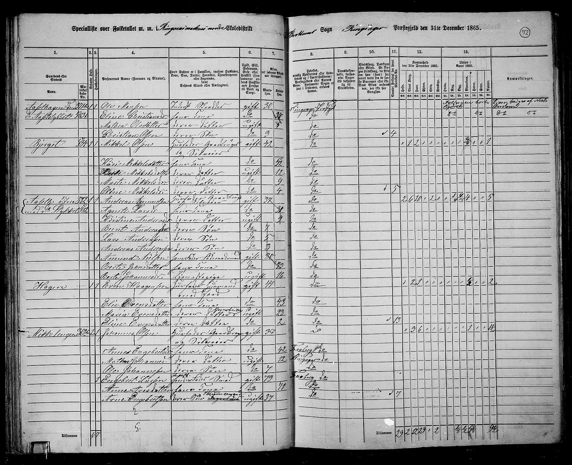 RA, 1865 census for Ringsaker, 1865, p. 324