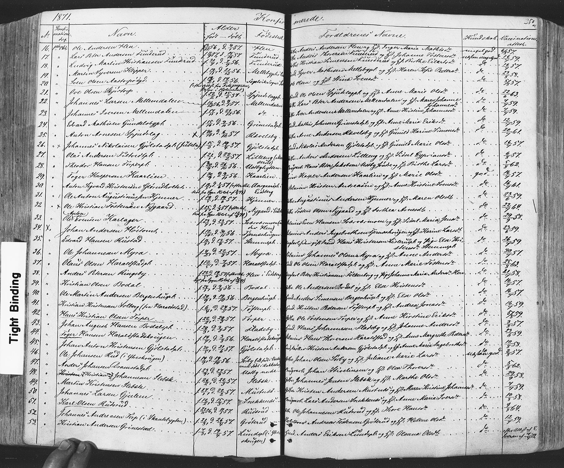 Rakkestad prestekontor Kirkebøker, SAO/A-2008/F/Fa/L0011: Parish register (official) no. I 11, 1862-1877, p. 250