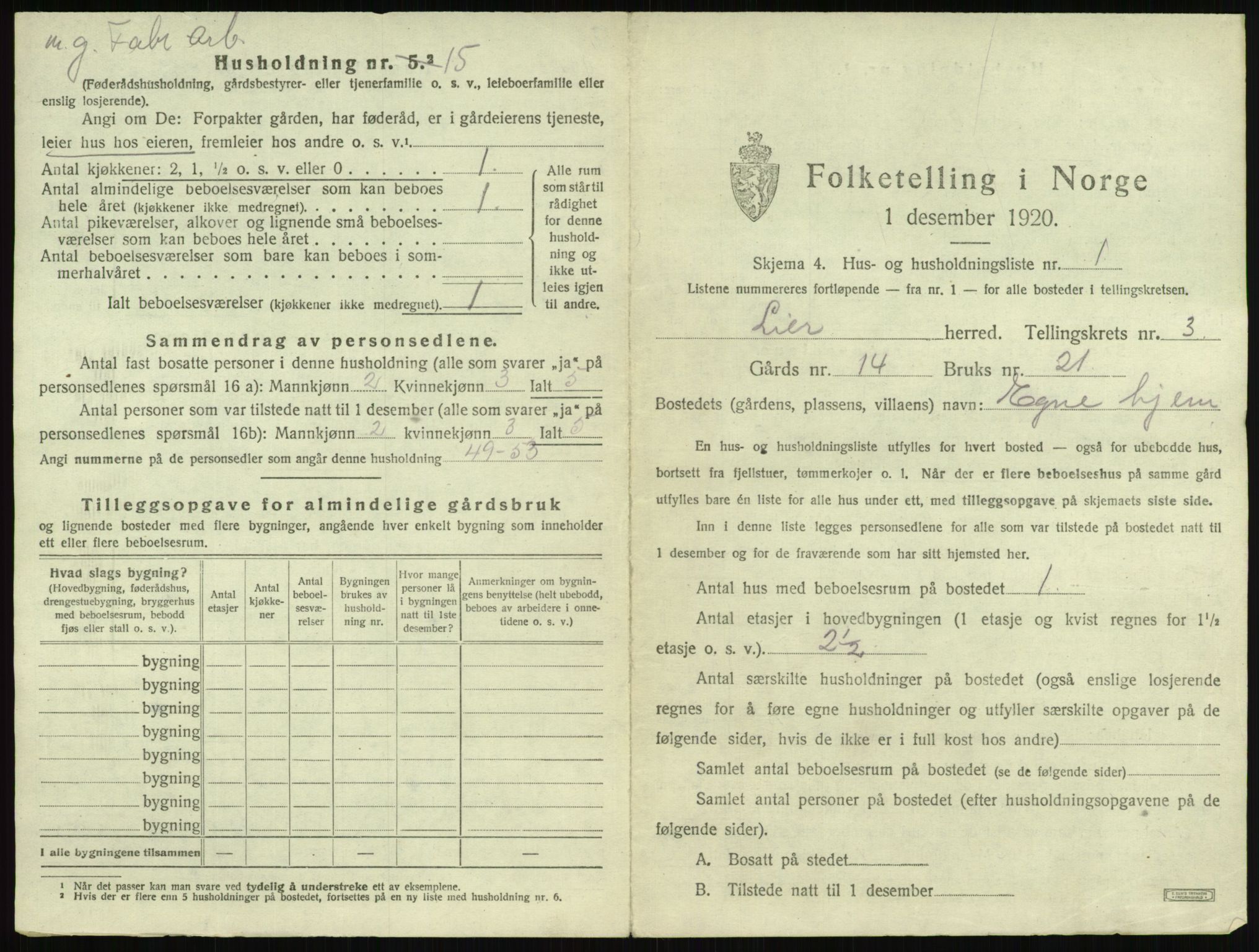 SAKO, 1920 census for Lier, 1920, p. 347