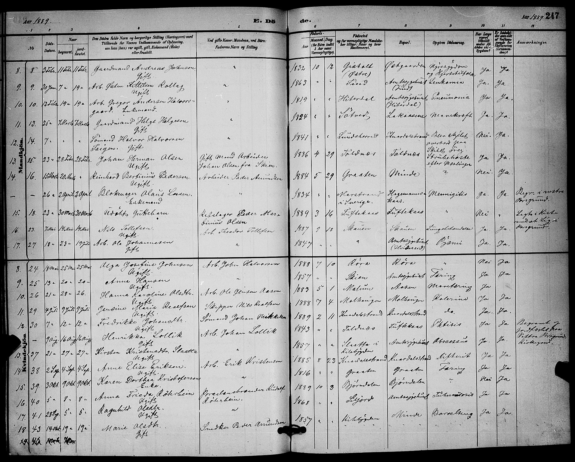 Solum kirkebøker, AV/SAKO-A-306/G/Ga/L0007: Parish register (copy) no. I 7, 1884-1898, p. 247