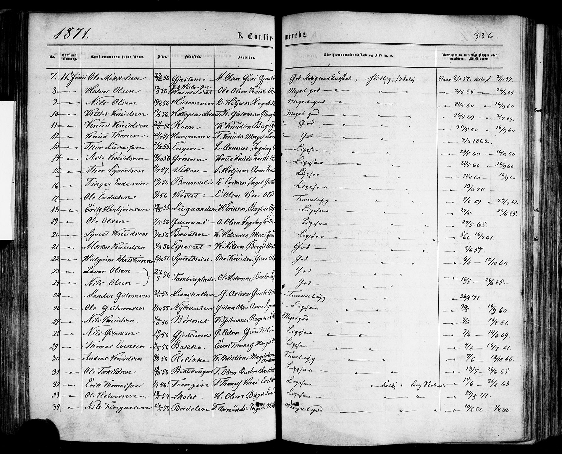 Nes kirkebøker, SAKO/A-236/F/Fa/L0010: Parish register (official) no. 10, 1864-1880, p. 336