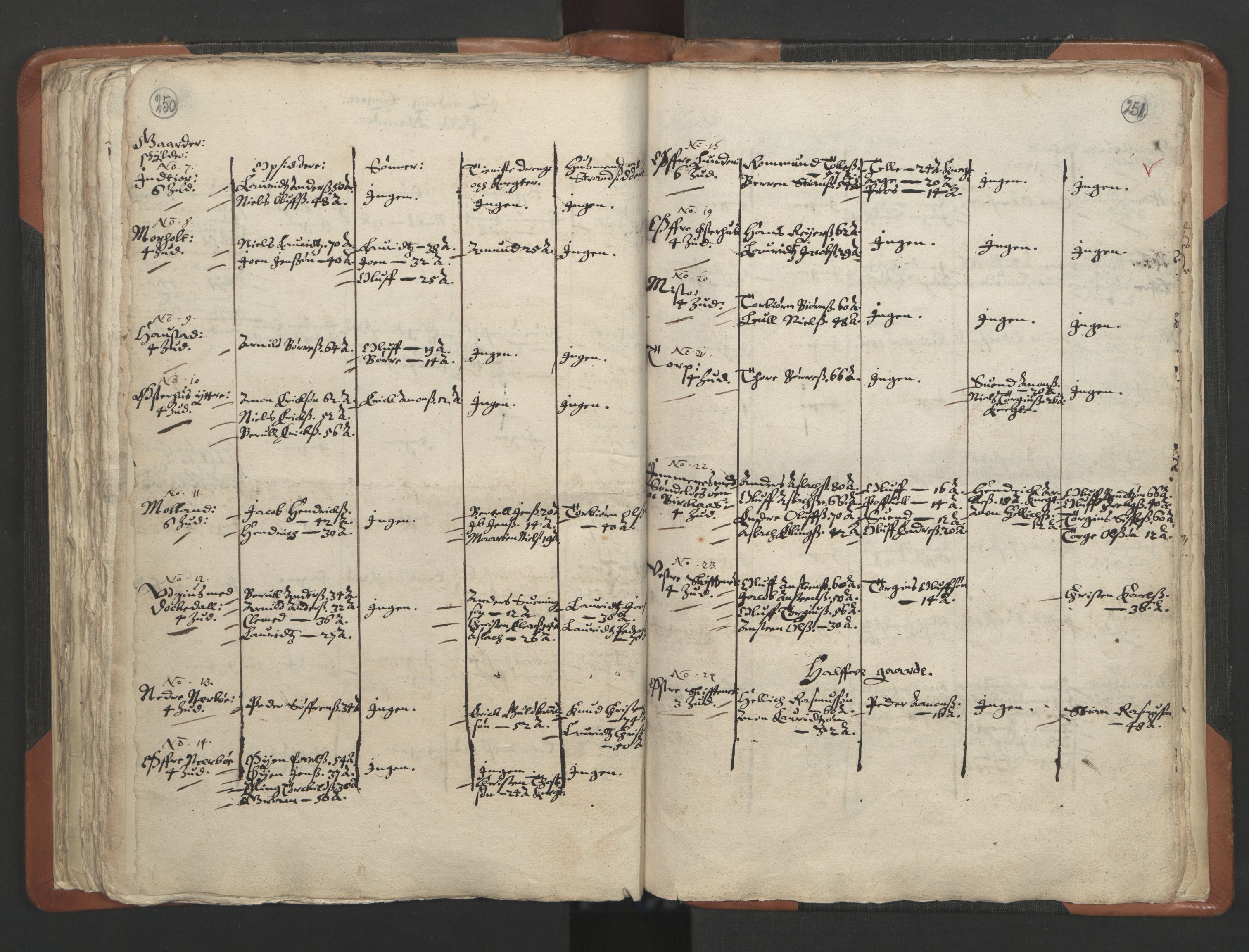 RA, Vicar's Census 1664-1666, no. 13: Nedenes deanery, 1664-1666, p. 250-251