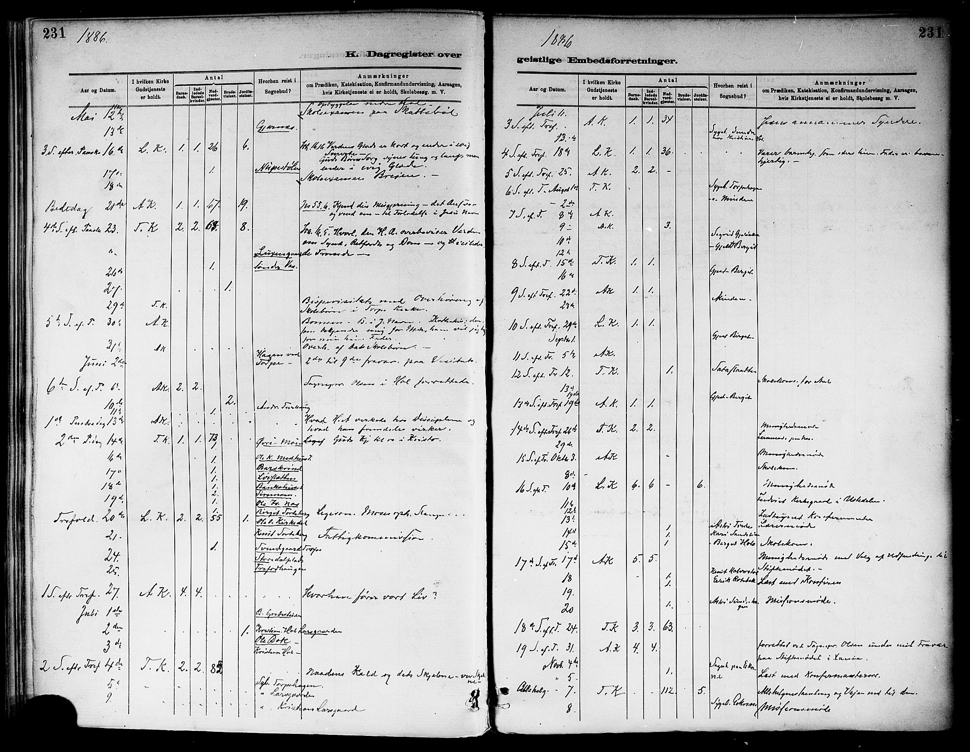 Ål kirkebøker, SAKO/A-249/F/Fa/L0008: Parish register (official) no. I 8, 1882-1896, p. 231