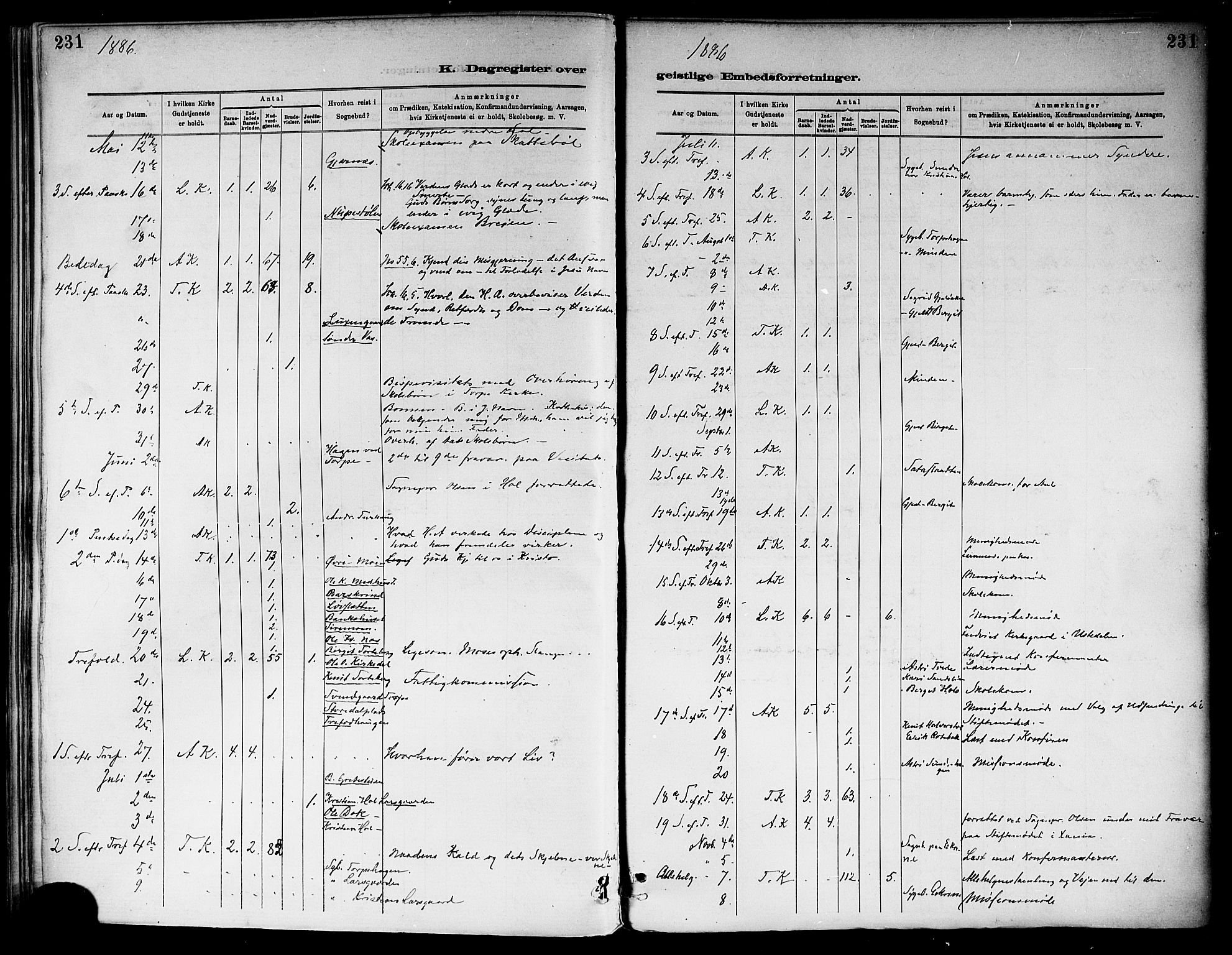 Ål kirkebøker, AV/SAKO-A-249/F/Fa/L0008: Parish register (official) no. I 8, 1882-1896, p. 231