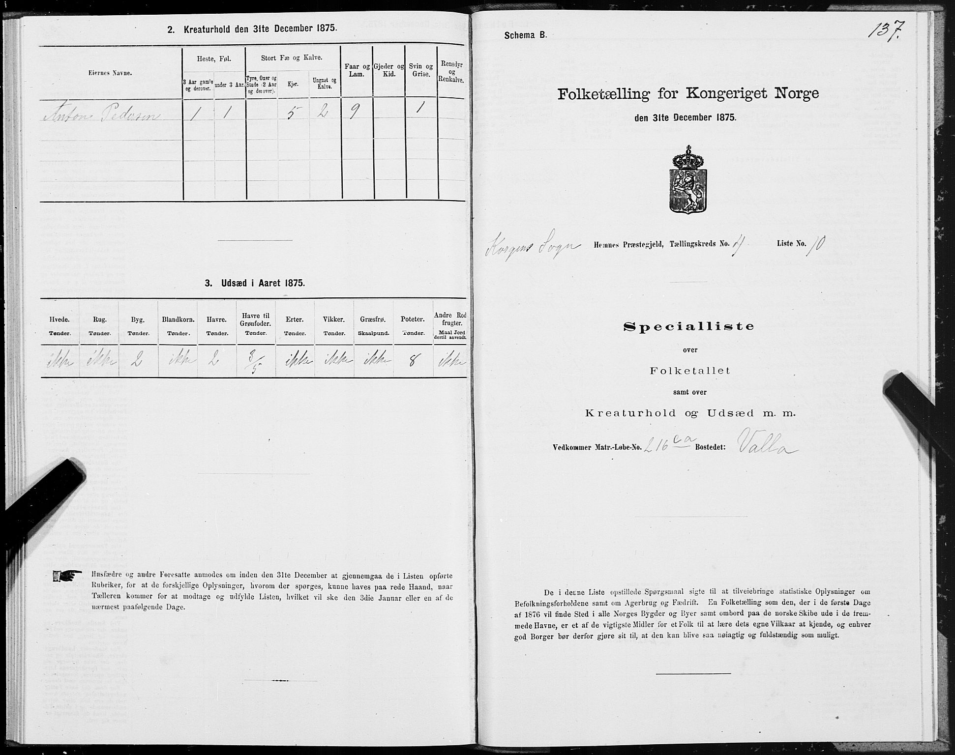 SAT, 1875 census for 1832P Hemnes, 1875, p. 3137