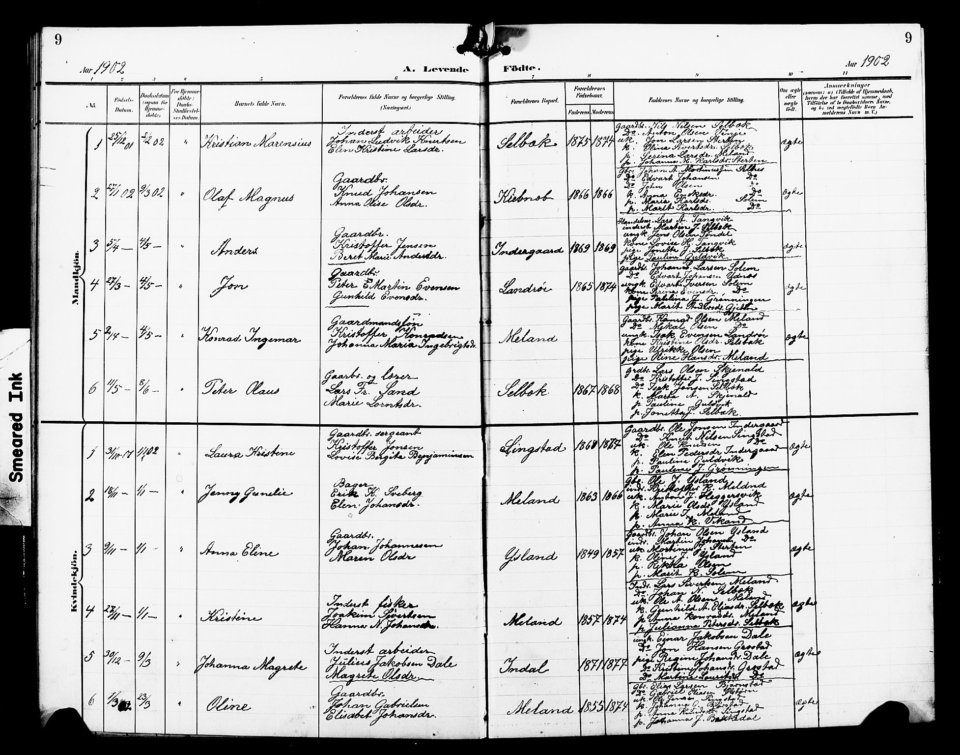 Ministerialprotokoller, klokkerbøker og fødselsregistre - Sør-Trøndelag, SAT/A-1456/663/L0763: Parish register (copy) no. 663C03, 1899-1908, p. 9