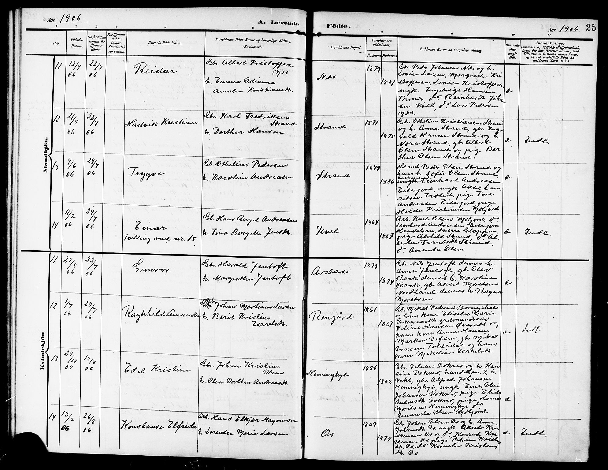 Ministerialprotokoller, klokkerbøker og fødselsregistre - Nordland, AV/SAT-A-1459/846/L0655: Parish register (copy) no. 846C05, 1902-1916, p. 25