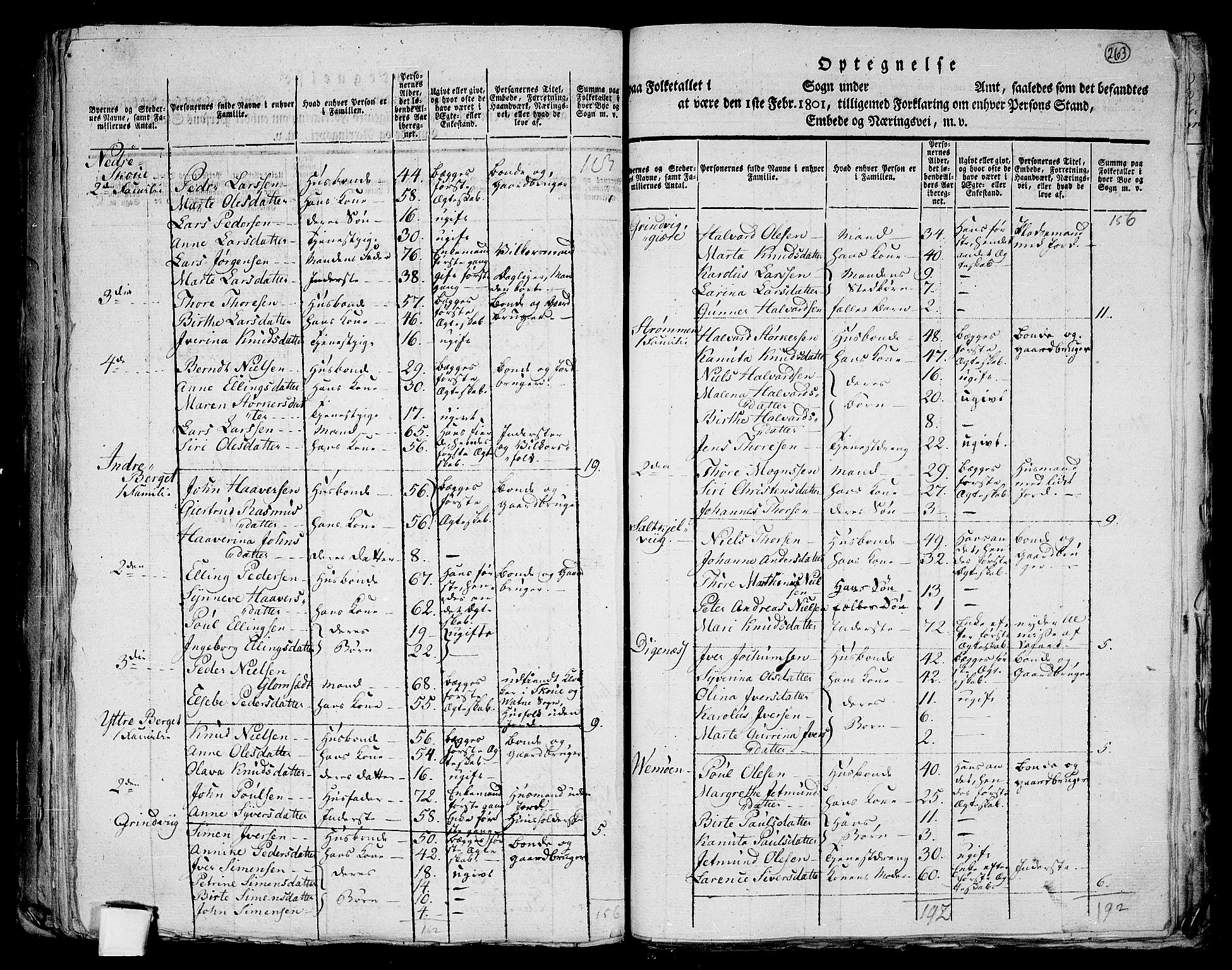 RA, 1801 census for 1531P Borgund, 1801, p. 262b-263a