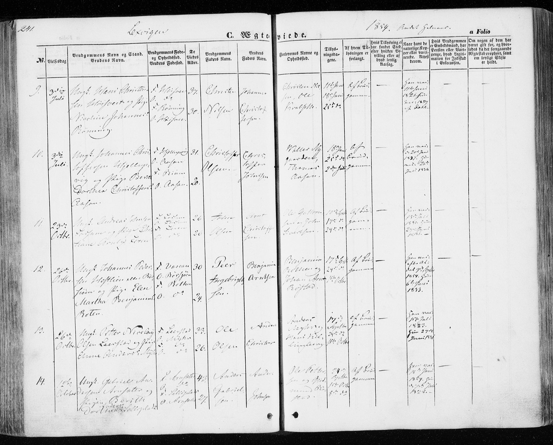 Ministerialprotokoller, klokkerbøker og fødselsregistre - Nord-Trøndelag, SAT/A-1458/701/L0008: Parish register (official) no. 701A08 /1, 1854-1863, p. 241