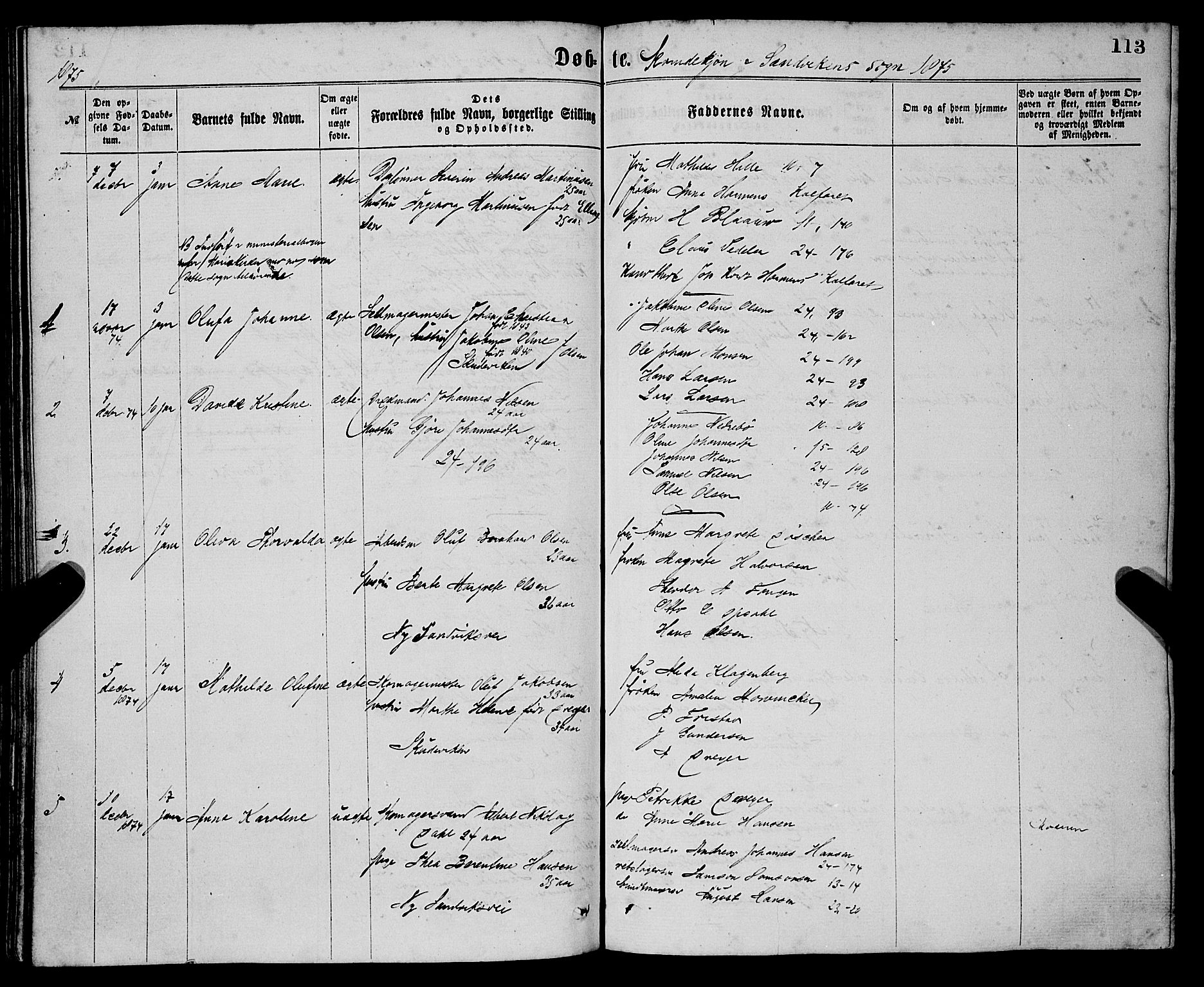 Sandviken Sokneprestembete, SAB/A-77601/H/Ha/L0001: Parish register (official) no. A 1, 1867-1877, p. 113