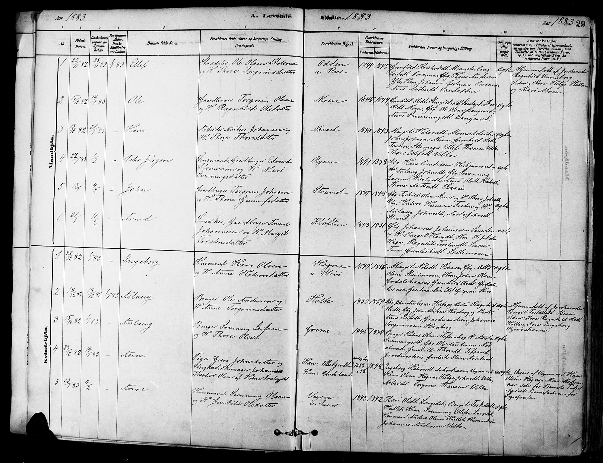 Heddal kirkebøker, SAKO/A-268/F/Fa/L0008: Parish register (official) no. I 8, 1878-1903, p. 29