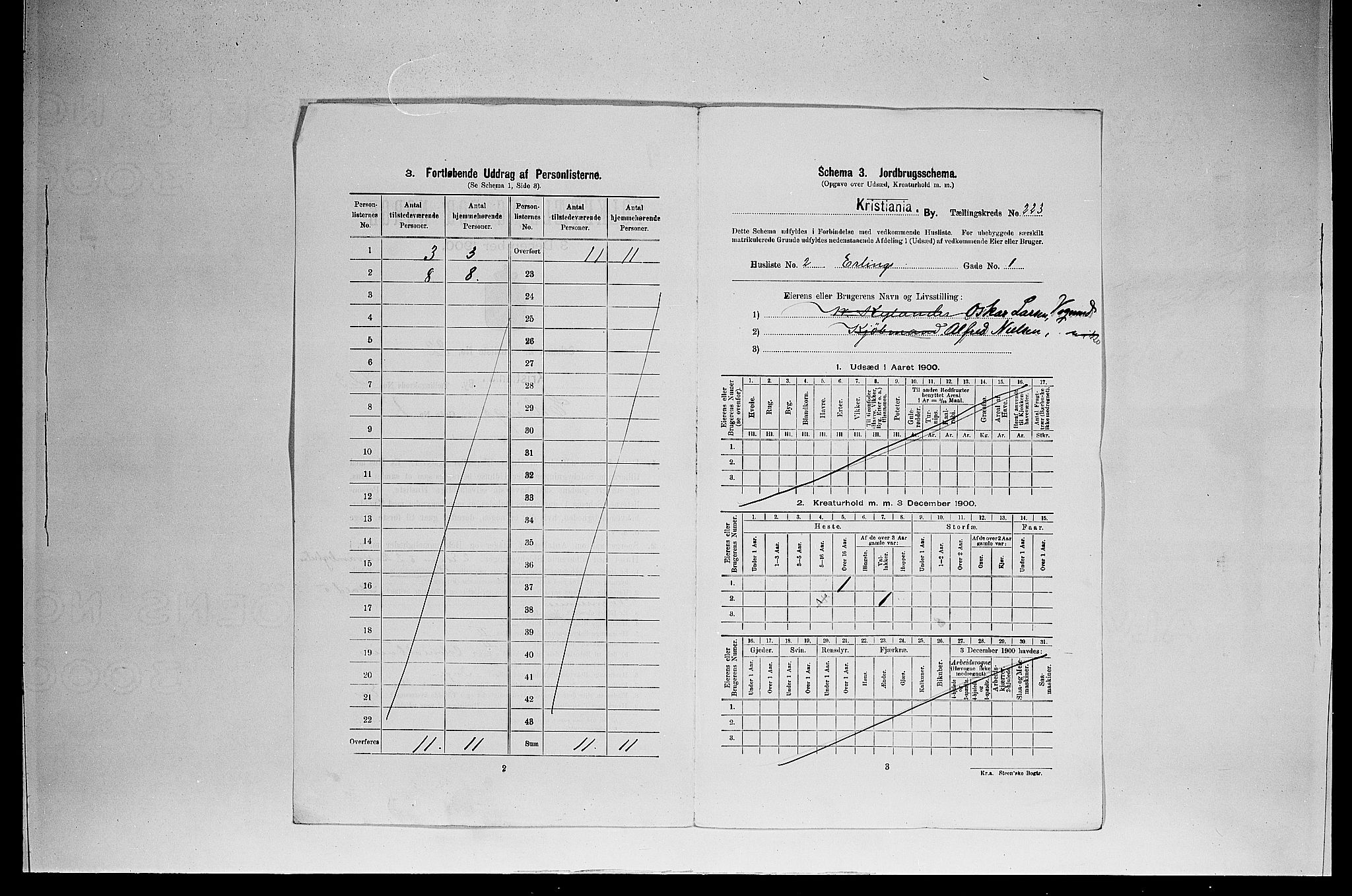 SAO, 1900 census for Kristiania, 1900, p. 20958