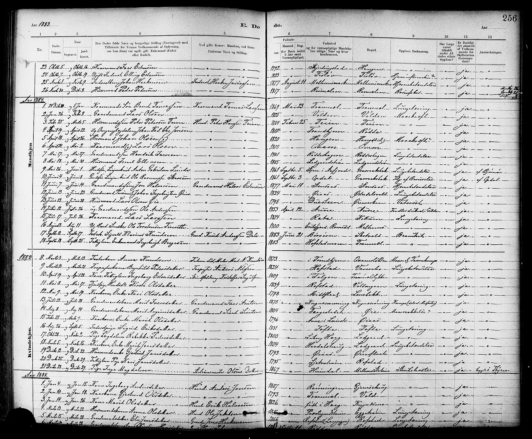 Ministerialprotokoller, klokkerbøker og fødselsregistre - Sør-Trøndelag, SAT/A-1456/691/L1094: Parish register (copy) no. 691C05, 1879-1911, p. 256