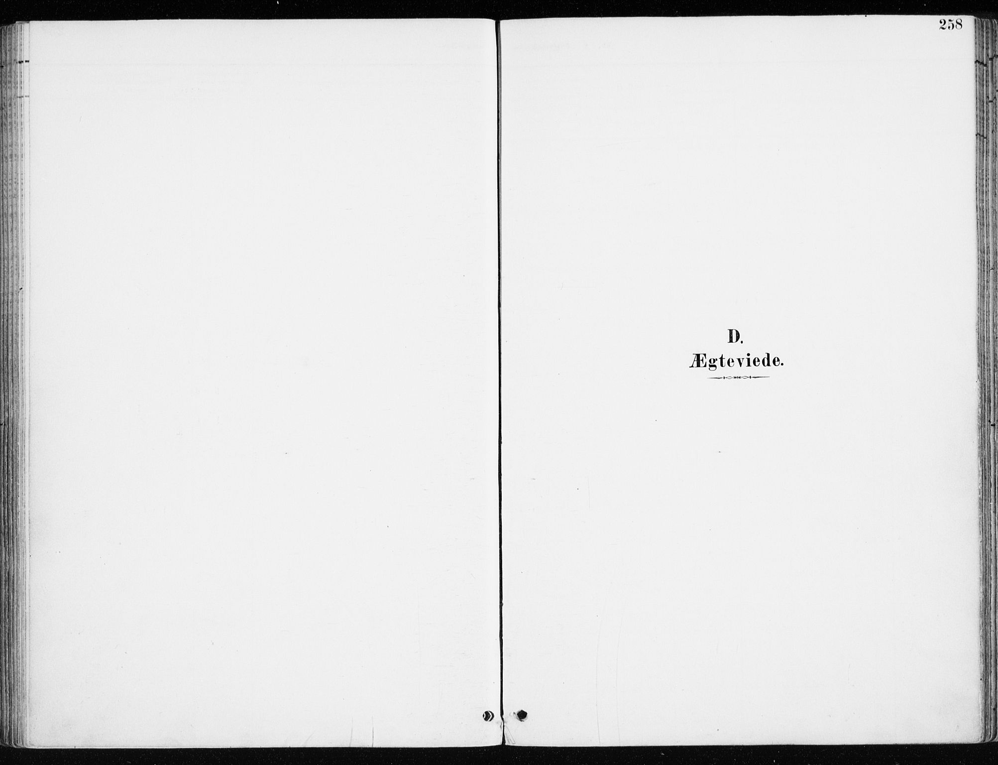 Løten prestekontor, AV/SAH-PREST-022/K/Ka/L0010: Parish register (official) no. 10, 1892-1907, p. 258