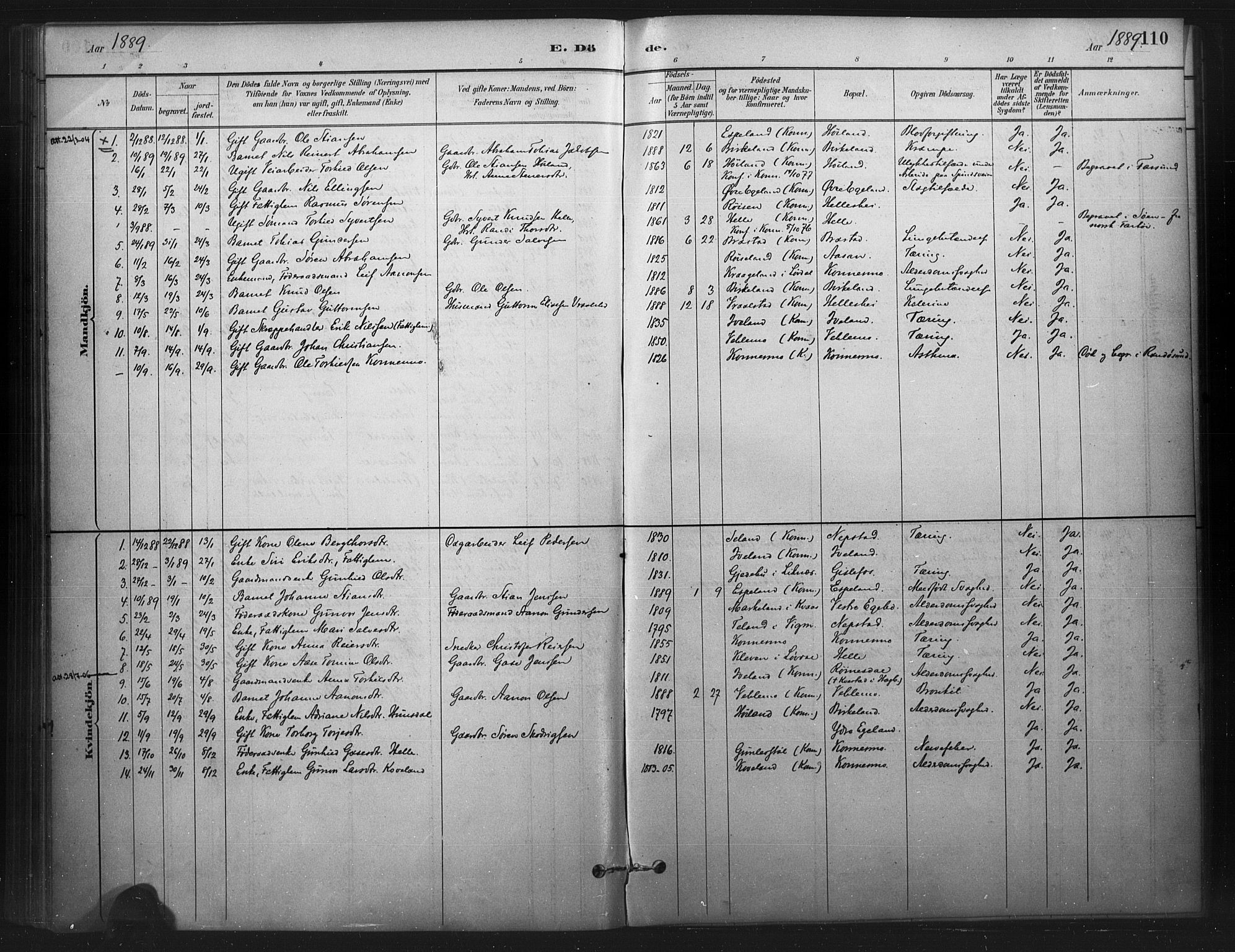 Nord-Audnedal sokneprestkontor, SAK/1111-0032/F/Fa/Faa/L0003: Parish register (official) no. A 3, 1882-1900, p. 110