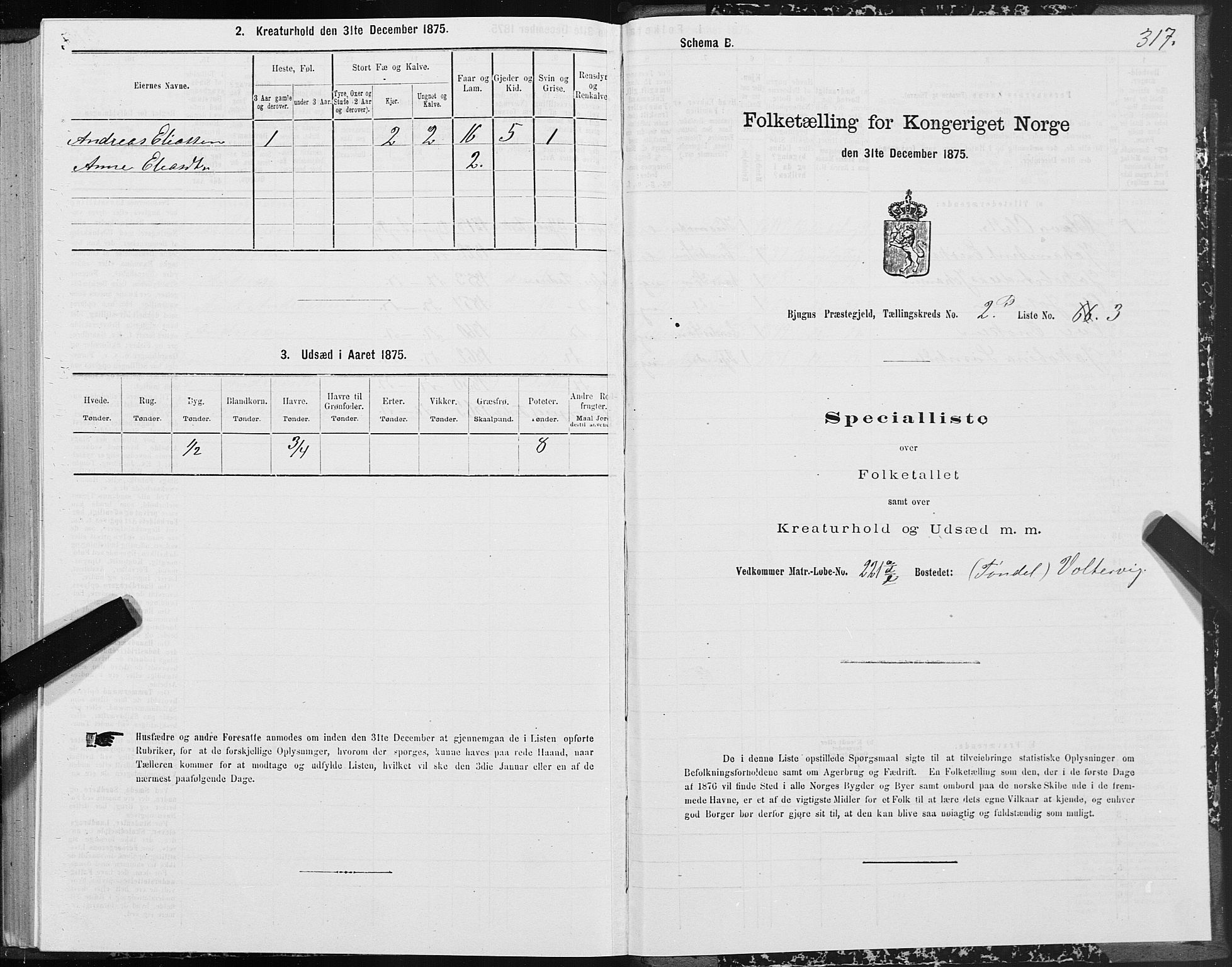 SAT, 1875 census for 1627P Bjugn, 1875, p. 1317