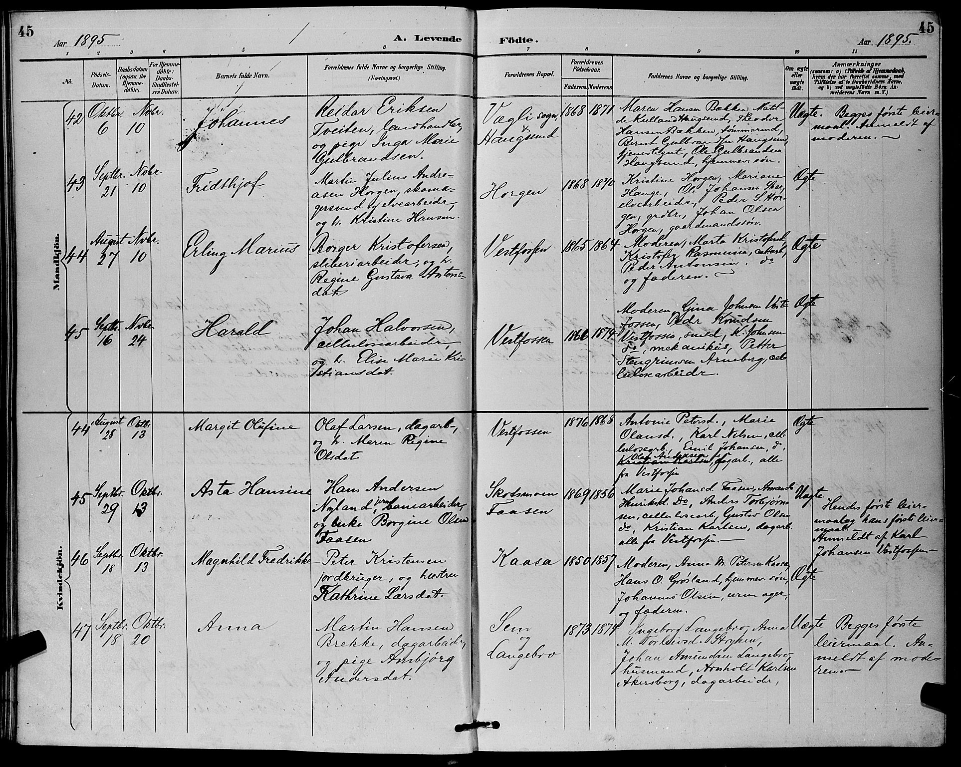 Eiker kirkebøker, AV/SAKO-A-4/G/Ga/L0007: Parish register (copy) no. I 7, 1893-1902, p. 45