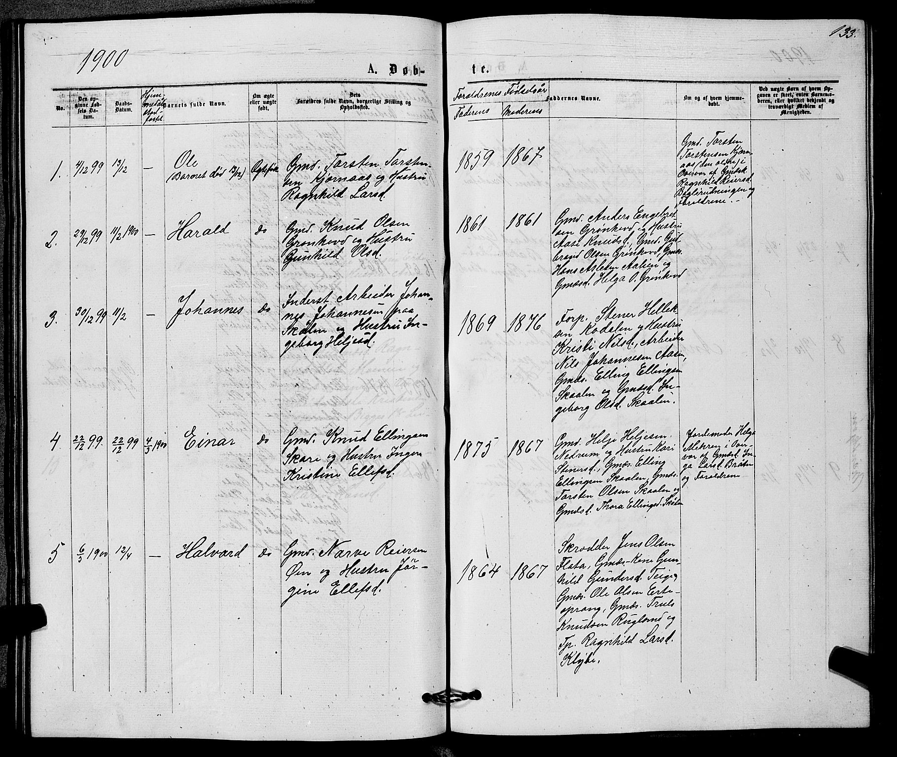 Sigdal kirkebøker, SAKO/A-245/G/Gb/L0002: Parish register (copy) no. II 2, 1875-1900, p. 133