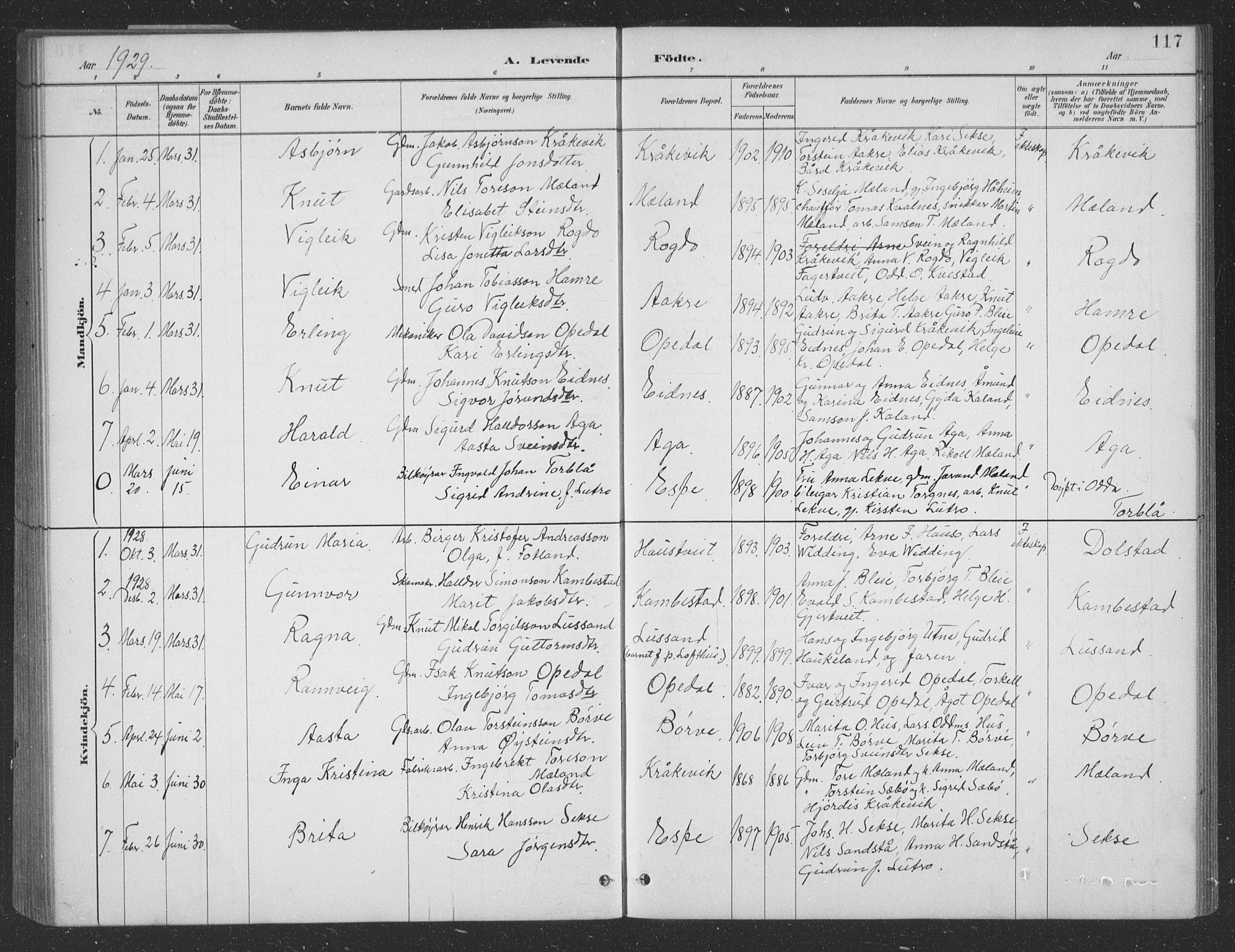 Ullensvang sokneprestembete, SAB/A-78701/H/Hab: Parish register (copy) no. B 11, 1887-1939, p. 117