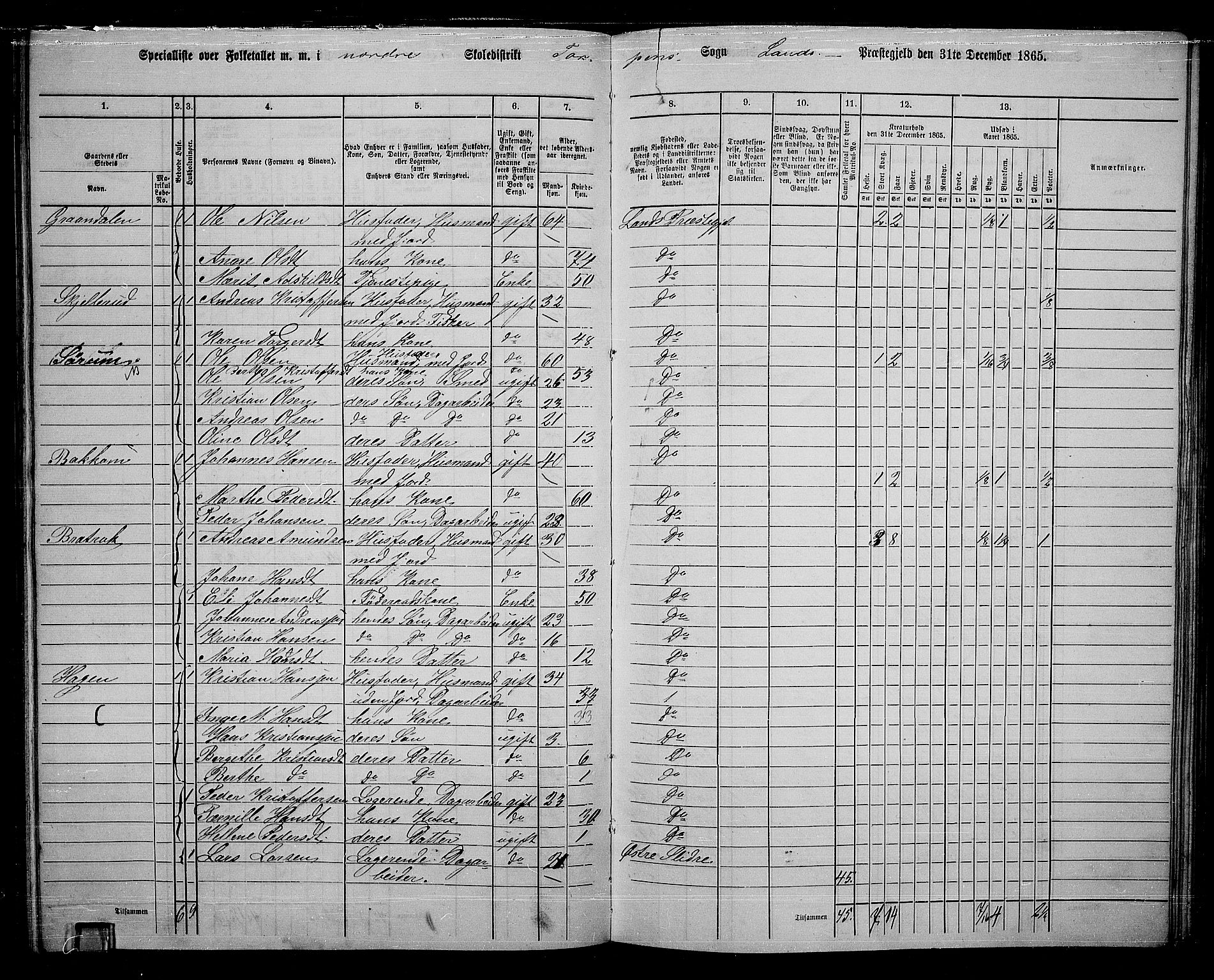 RA, 1865 census for Land, 1865, p. 128