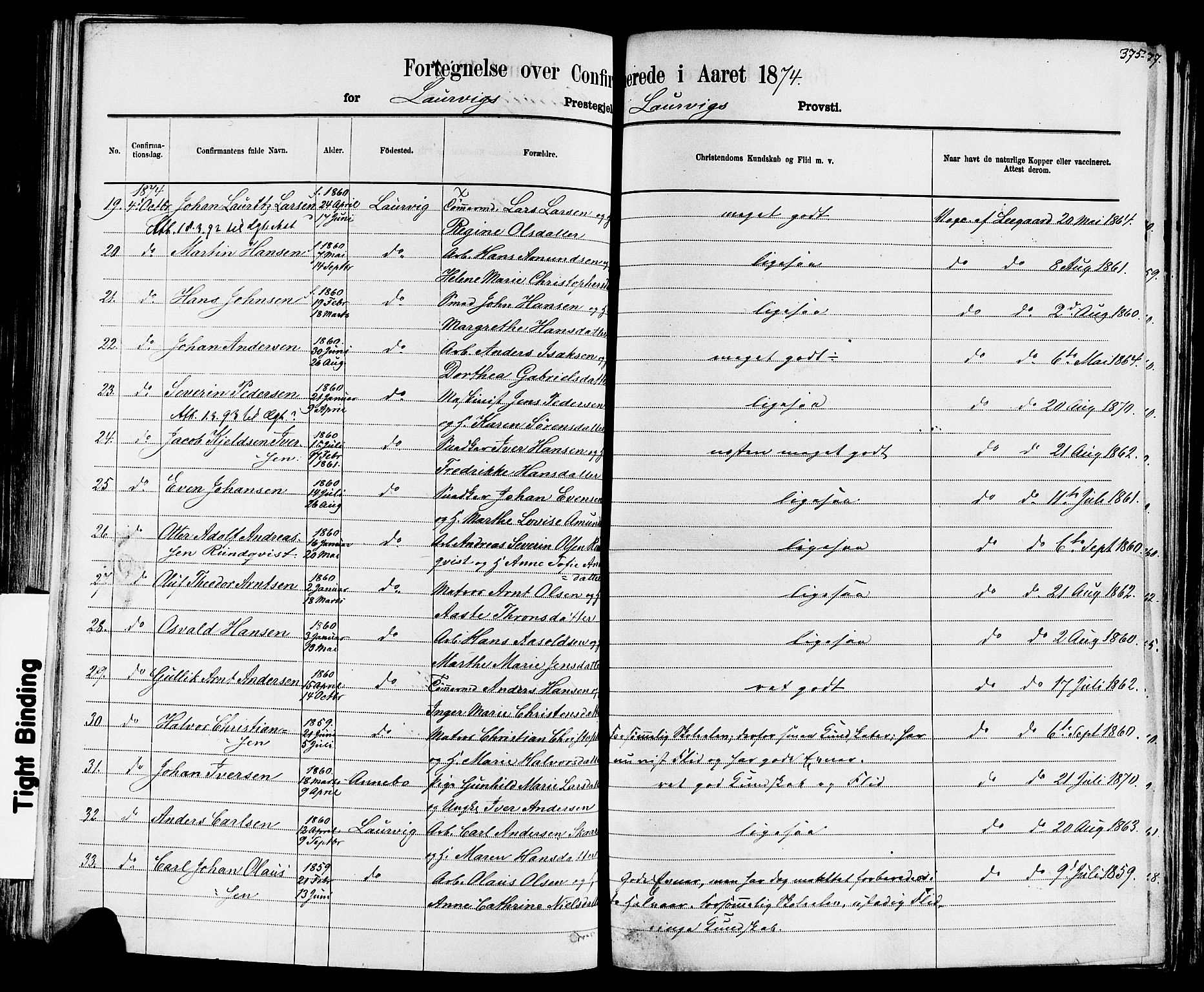 Larvik kirkebøker, AV/SAKO-A-352/F/Fa/L0006: Parish register (official) no. I 6, 1871-1883, p. 375