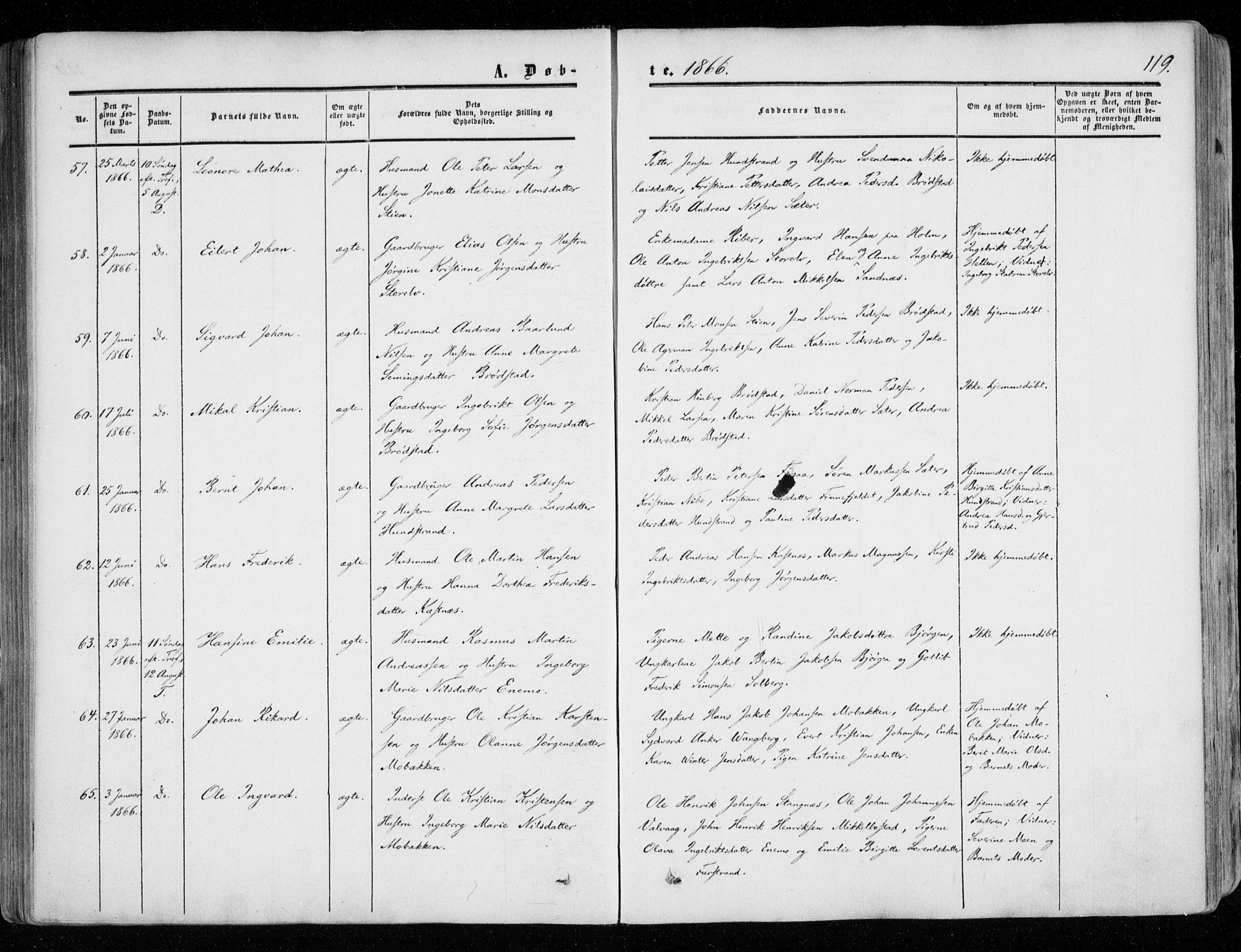 Tranøy sokneprestkontor, AV/SATØ-S-1313/I/Ia/Iaa/L0007kirke: Parish register (official) no. 7, 1856-1866, p. 119