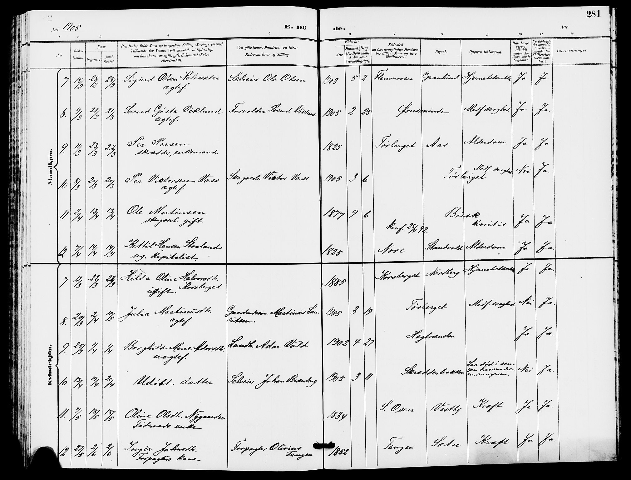 Trysil prestekontor, AV/SAH-PREST-046/H/Ha/Hab/L0006: Parish register (copy) no. 6, 1896-1912, p. 281